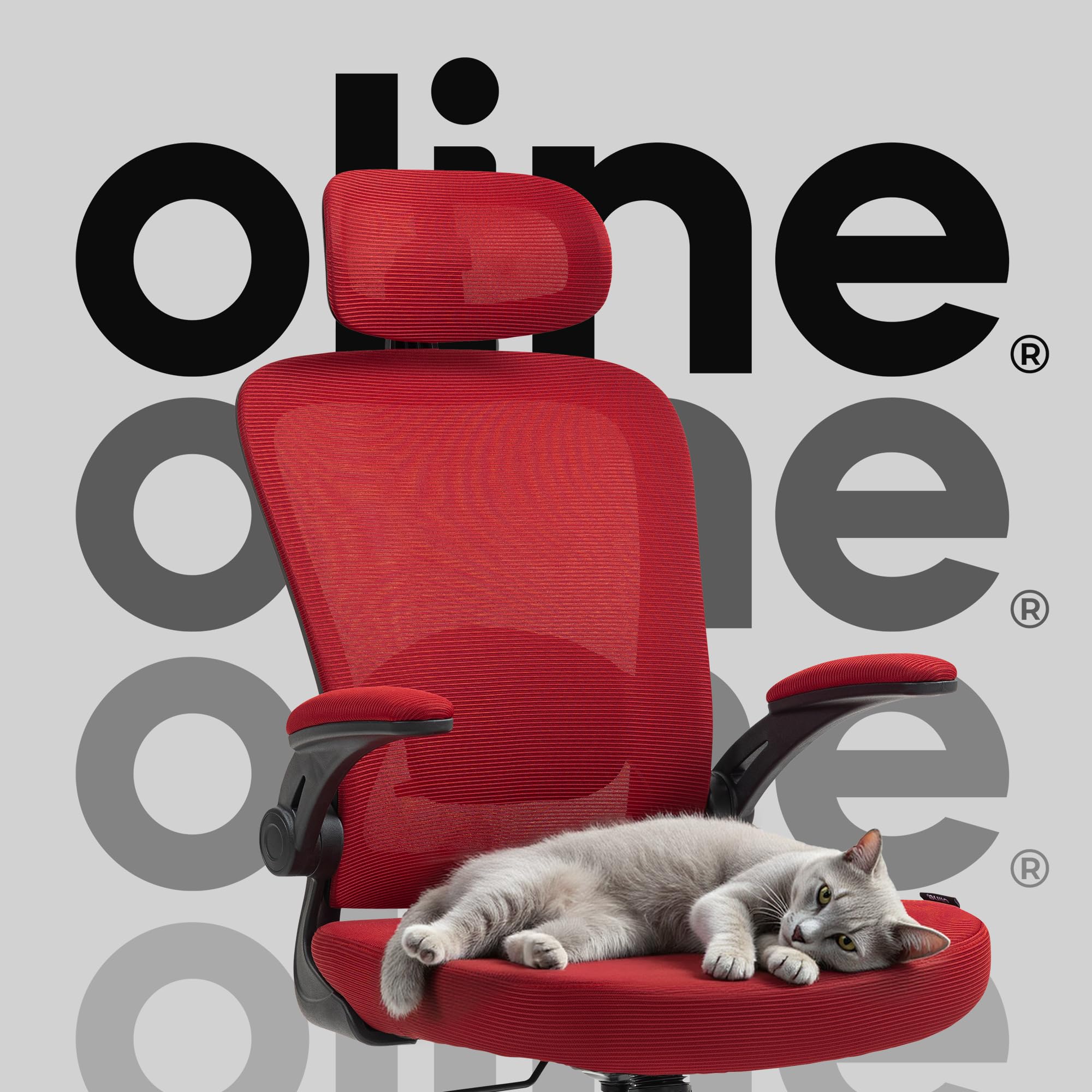 Ergonomic Mesh Office Chair with Adjustable Lumbar