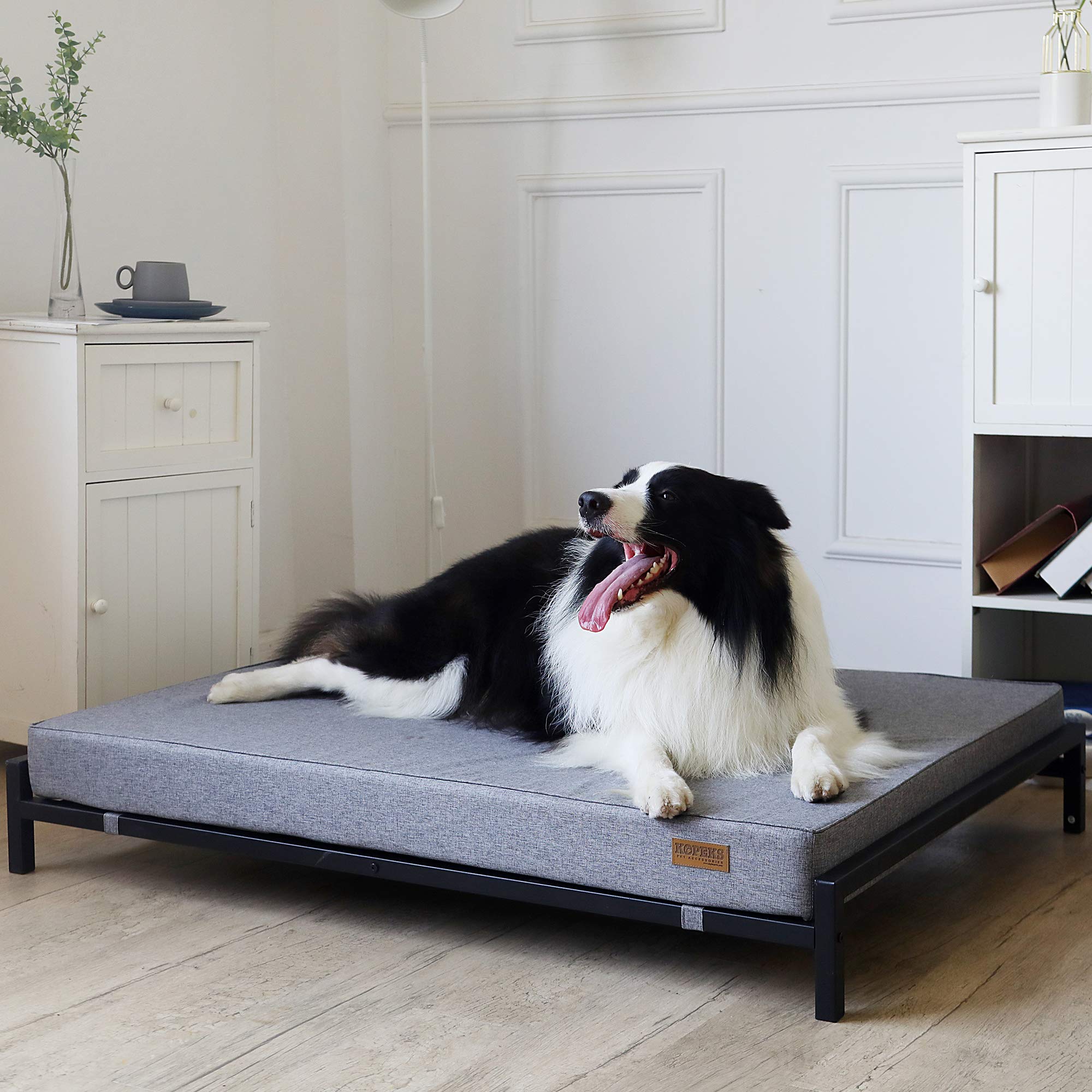 Outdoor Elevated Dog Bed for Large Dogs - Modern Style
