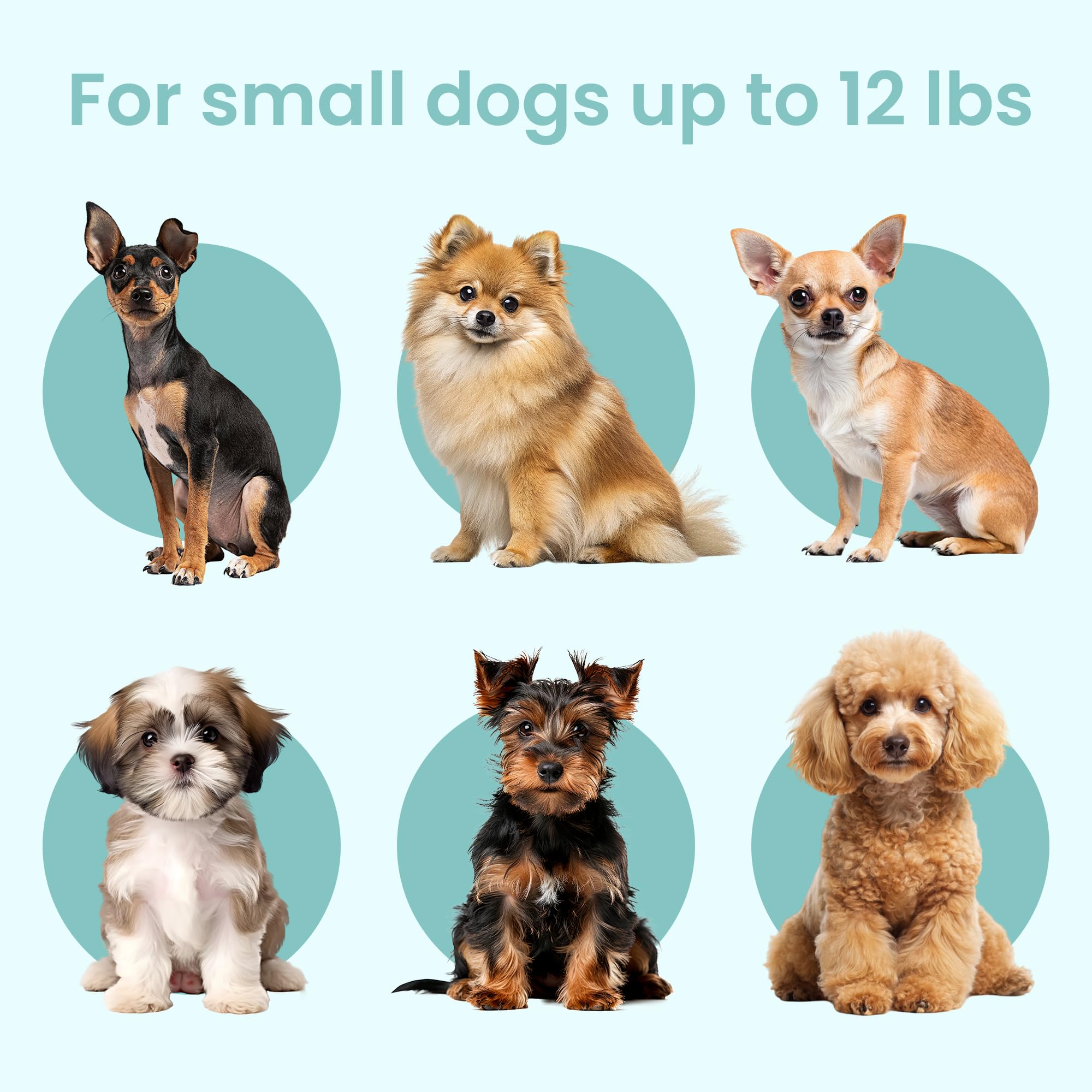 Collapsible Dog Crate with Washable Bed - Small White