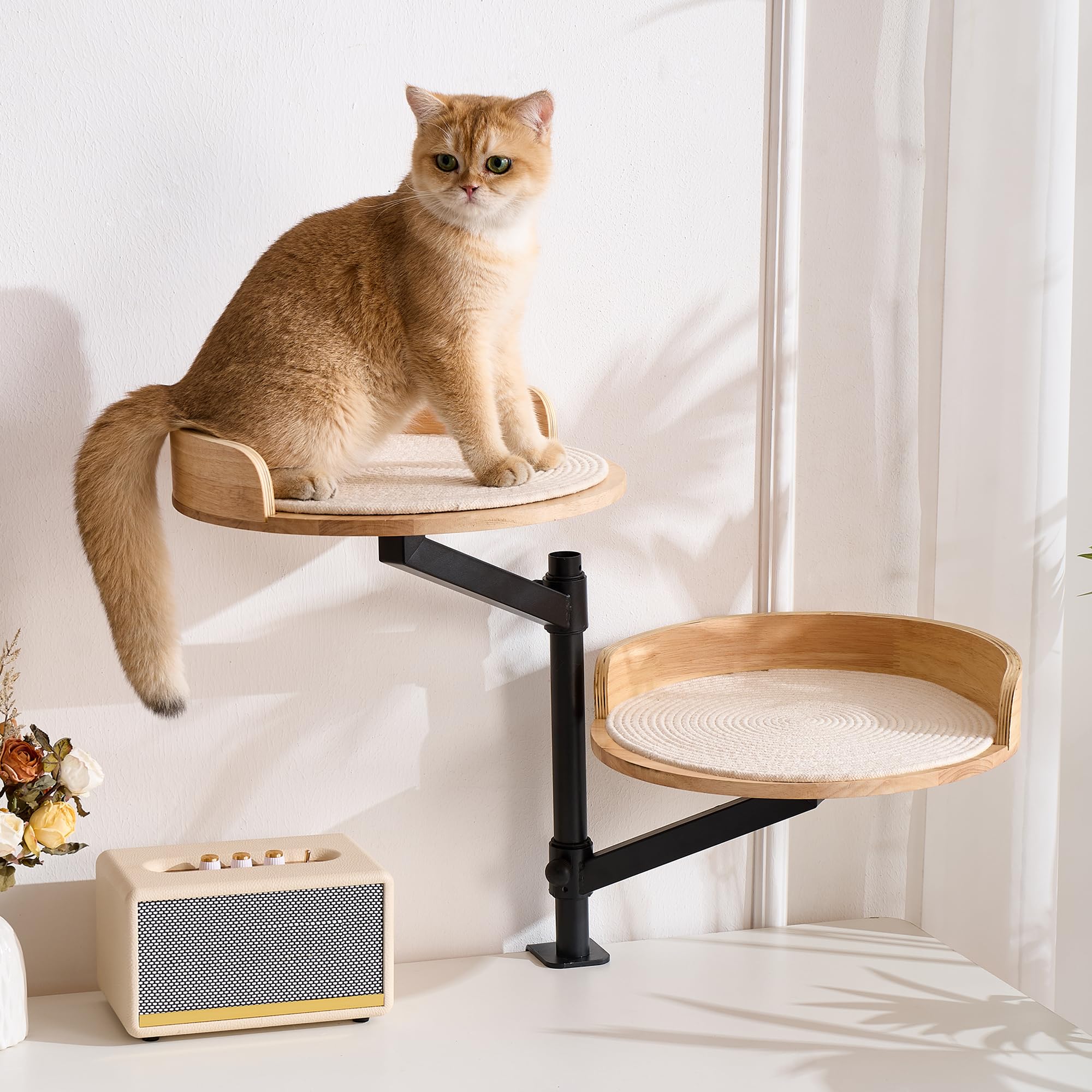 Double Cat Desk Bed - 360° Rotating Height Adjustable