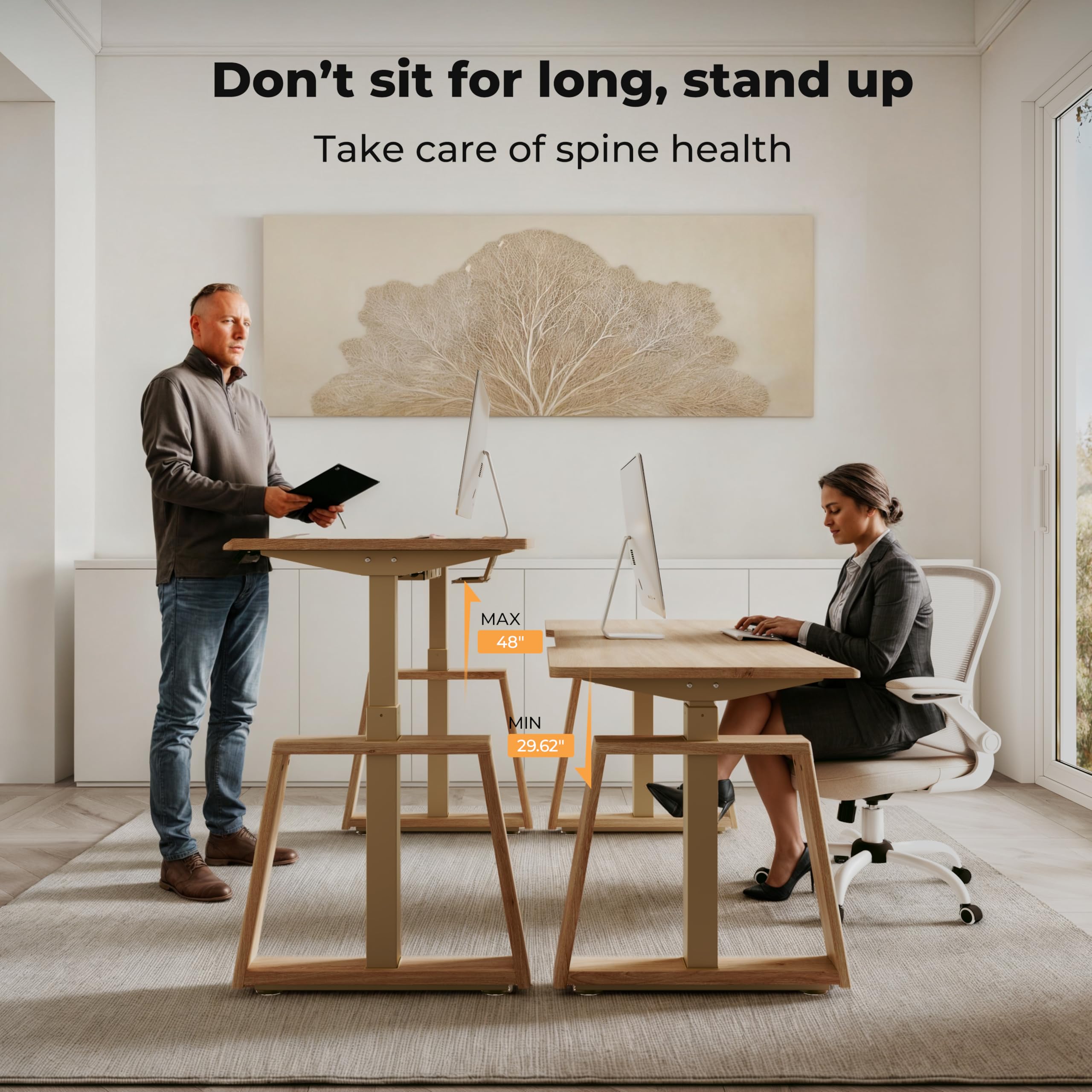 63" Electric Standing Desk with Touch Screen
