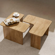 Modern Nesting Coffee Table Set of 2