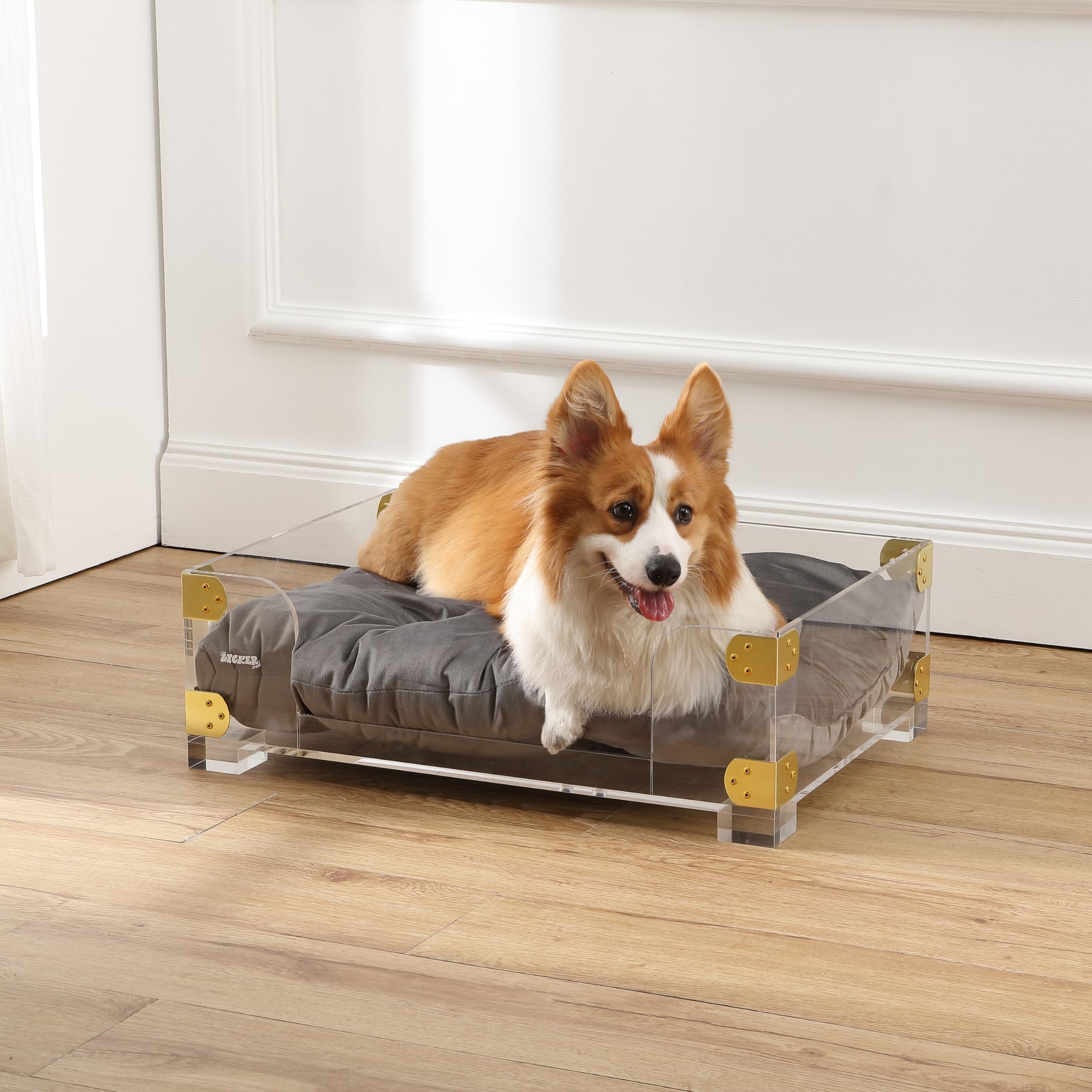 Haines Modern Lucite Velvet Pet Bed with Washable Cushion