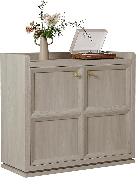 Storage Cabinet with Doors and Adjustable Shelves