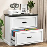 Halitaa 2 Drawer File Cabinet, Farmhouse Lateral Filing Cabinet for Letter/A4/F4/Legal Size Hanging Files, Large Wood File Storage Cabinets Printer Stand for Home Office, White and Black