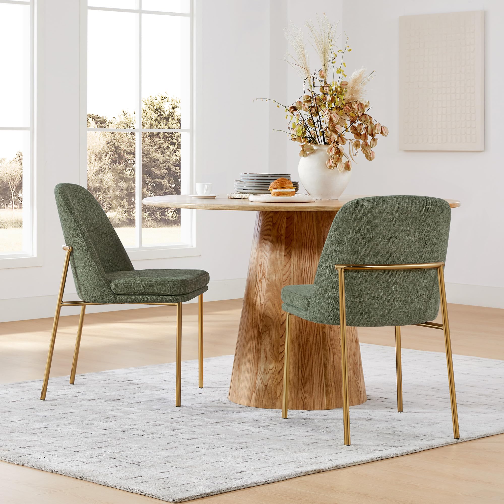 Modern Dining Chairs Set of 2