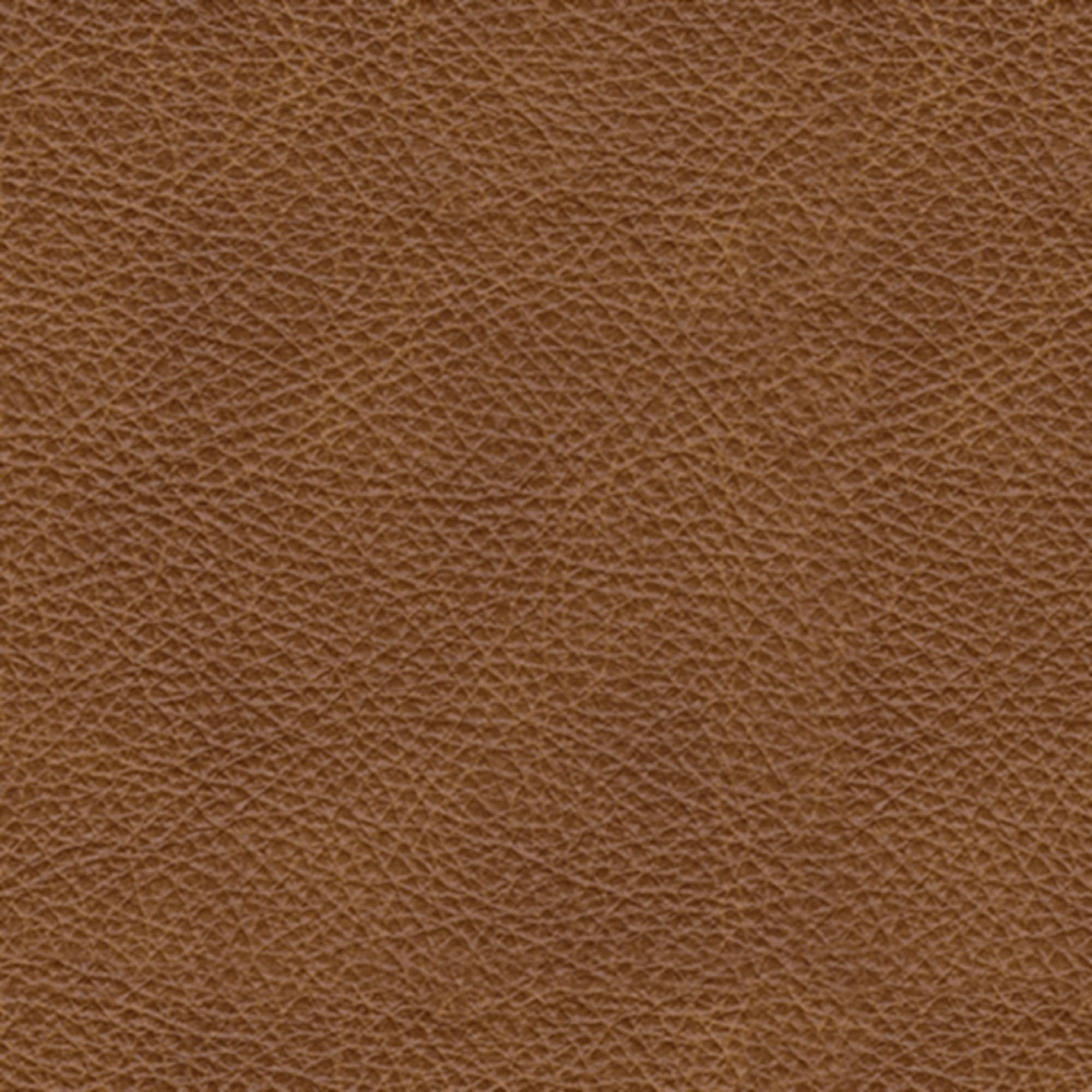 Carianna Leather Sofa with Nailhead Trim