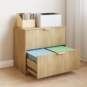 Double Drawer Horizontal File Cabinet with Adjustable Hanging Rails