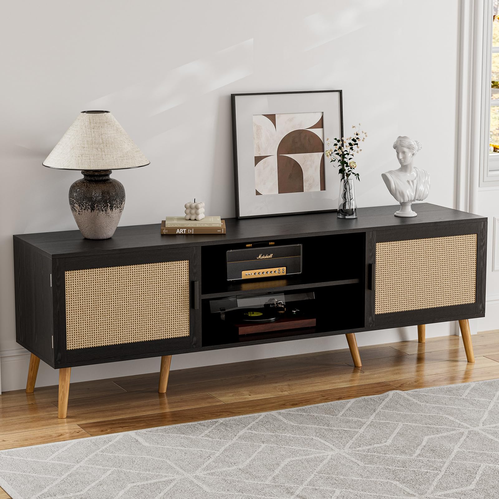TV Stand for TVs up to 65 with Rattan Door and Storage