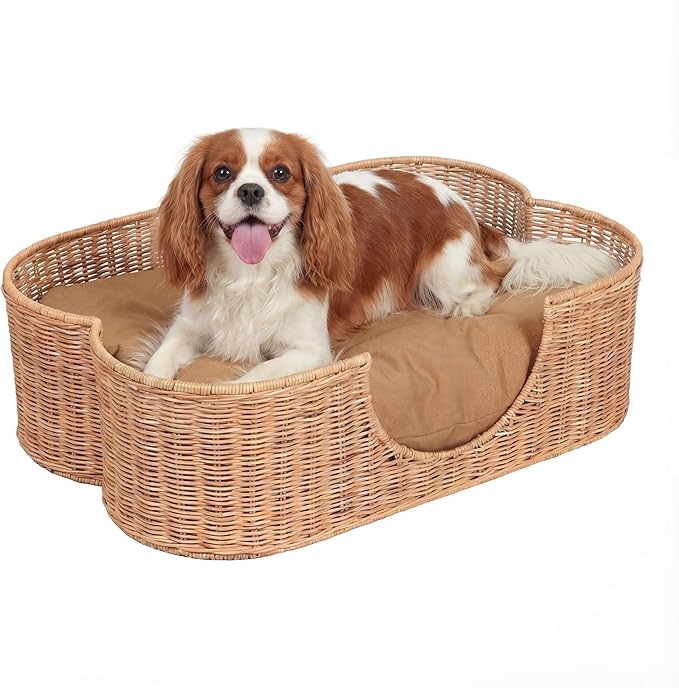 Scalloped Woven Rattan Dog Bed with Washable Cushion