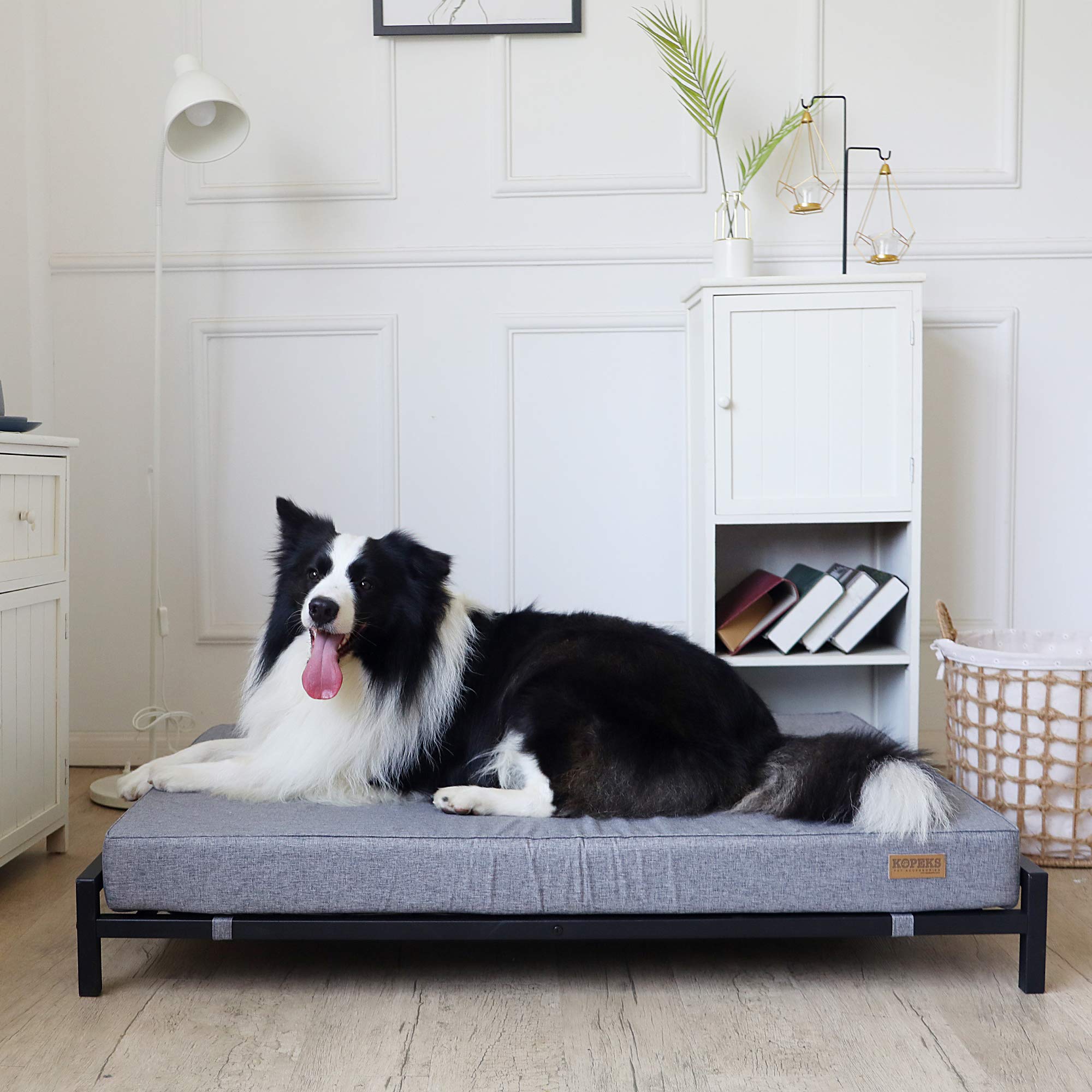 Outdoor Elevated Dog Bed for Large Dogs - Modern Style
