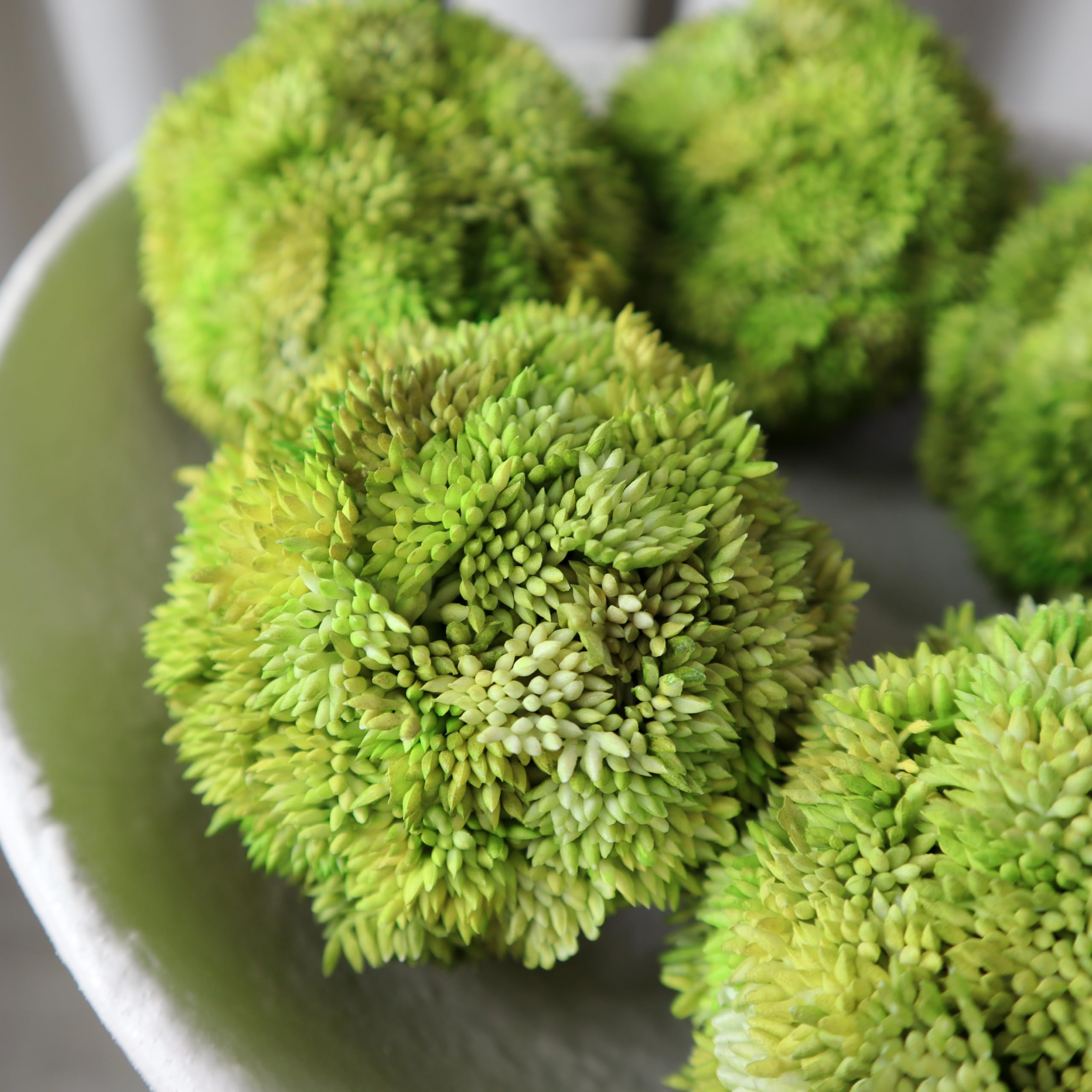 White Textured Ceramic Pedestal Bowl with Succulent Moss Balls