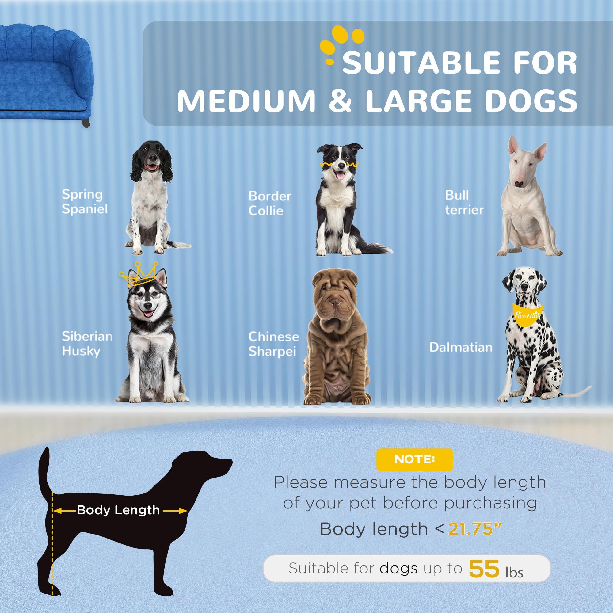 Velvet Large Dog Couch with Foam Cushion