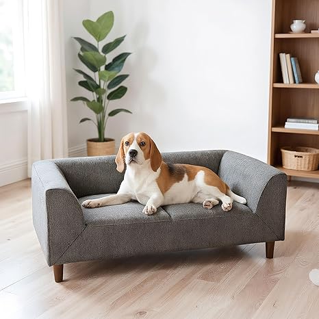 Elevated Dog Sofa with Backrest and Armrests