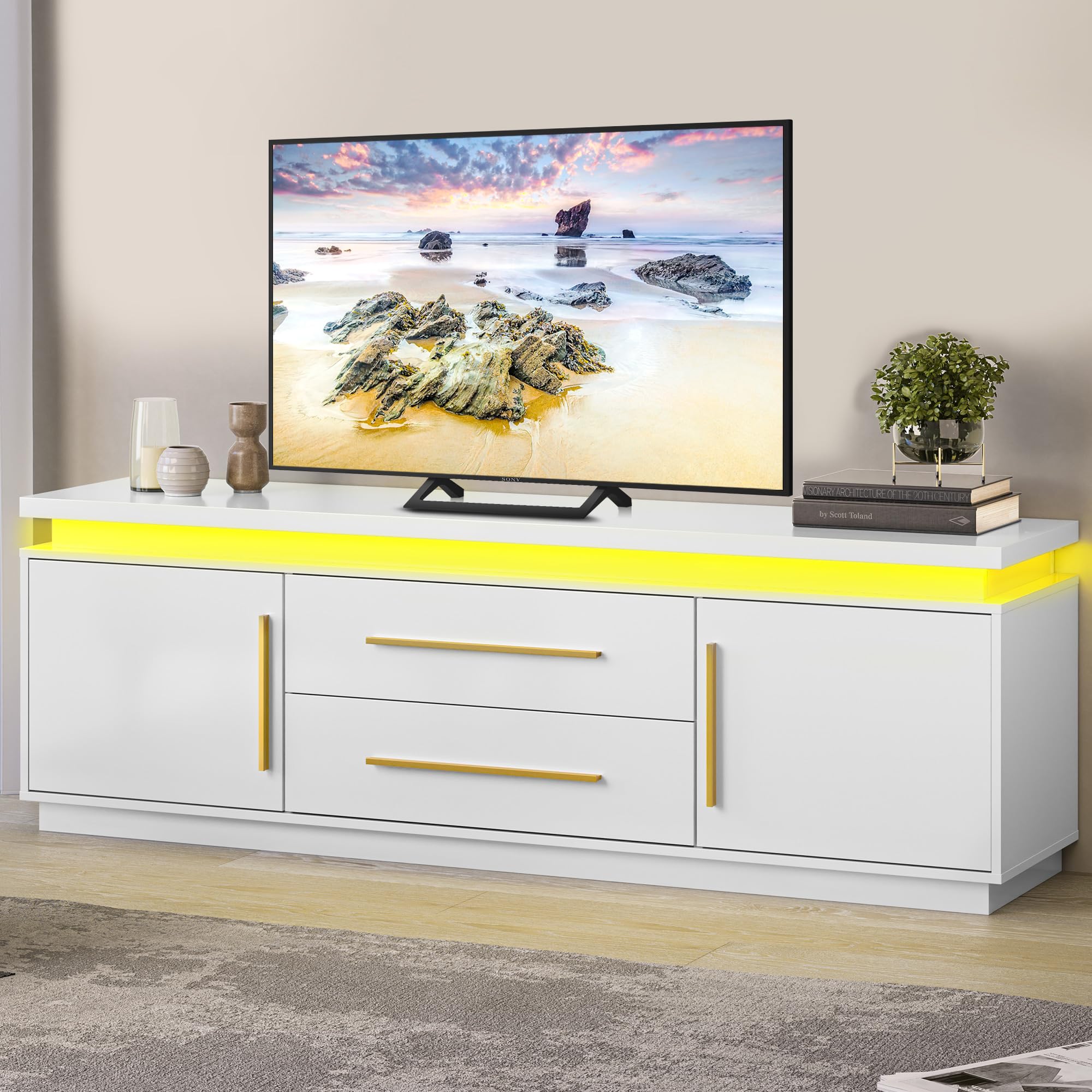 67" TV Stand with LED Lights and Storage