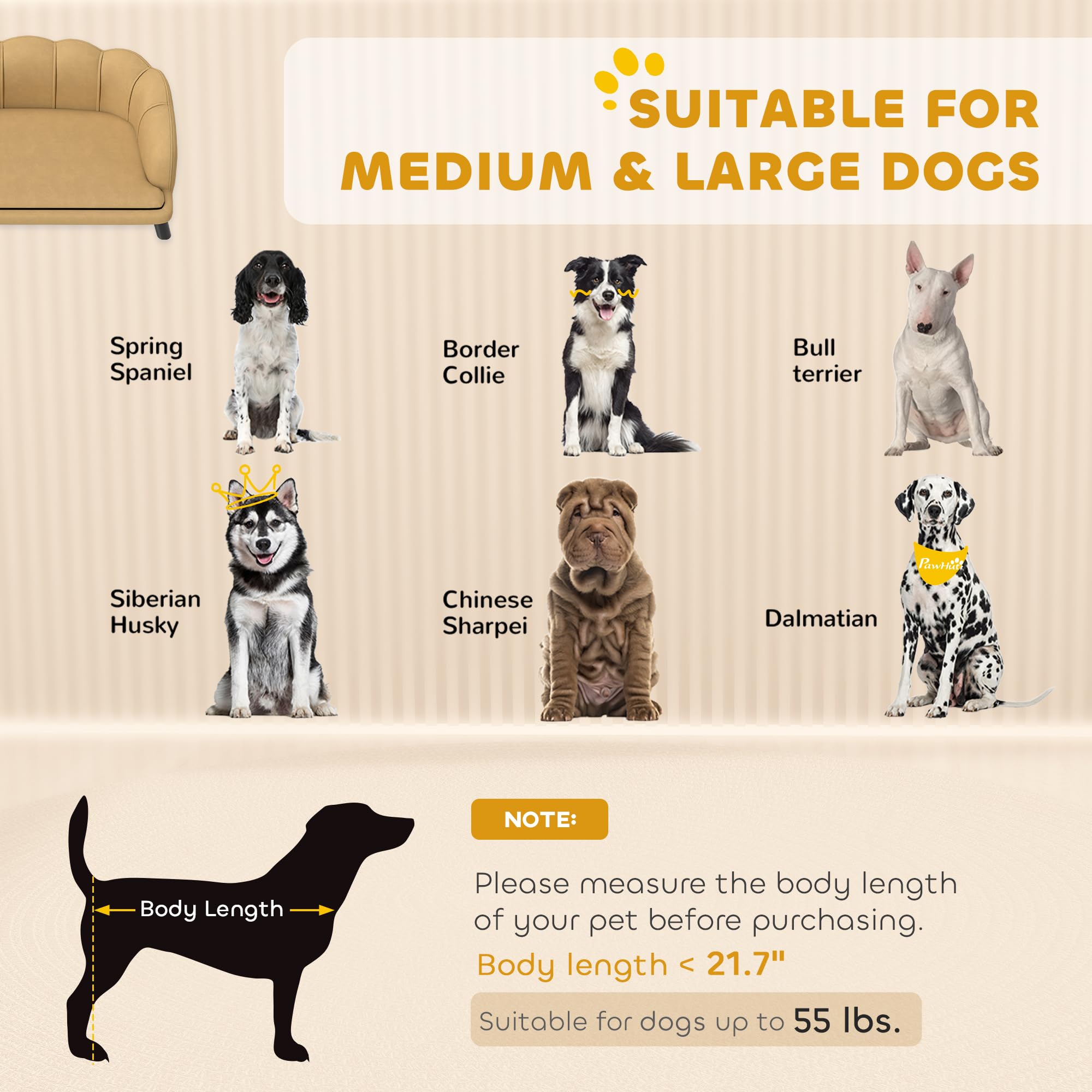 Velvet Large Dog Couch with Foam Cushion