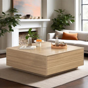 Square Coffee Table with Storage and 2 Drawers