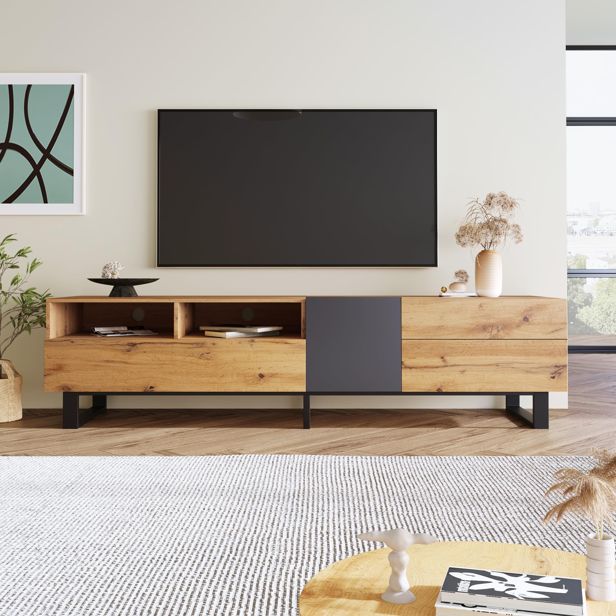 Modern TV Entertainment Center with Storage