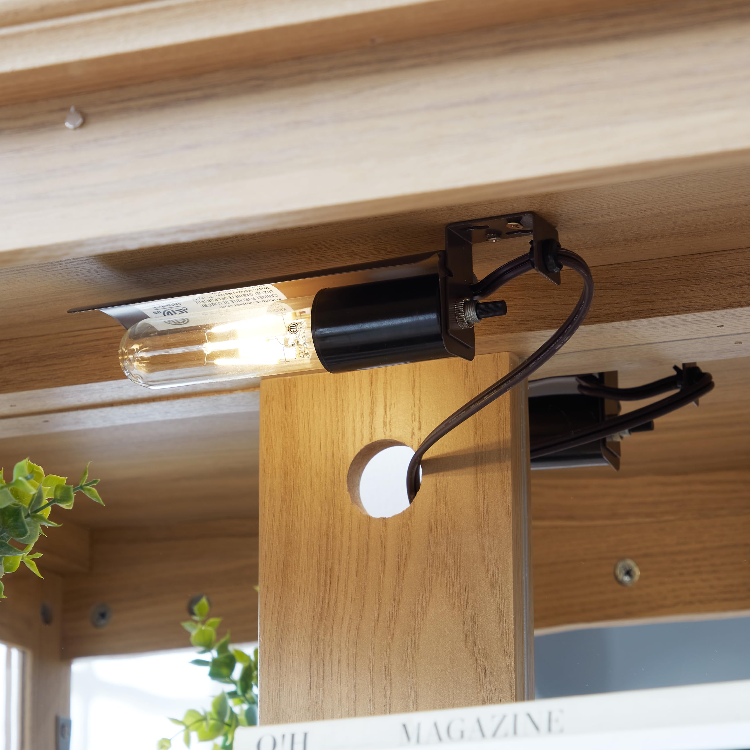 Antique Glass Display Cabinet with Adjustable Shelves