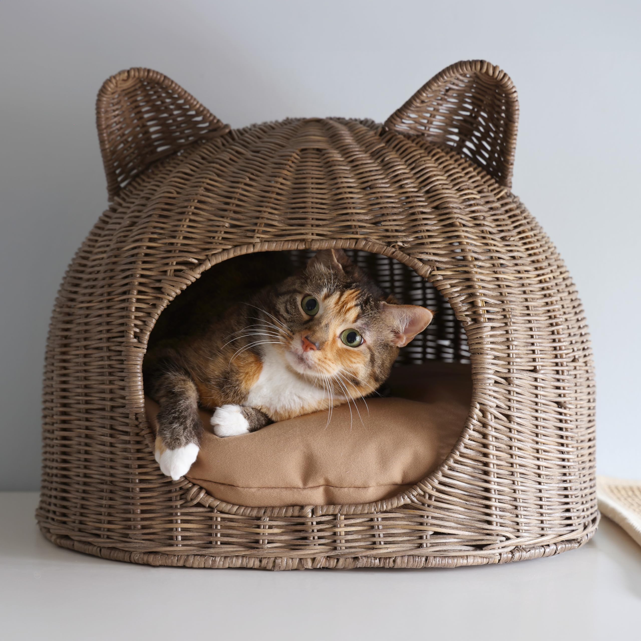Cat Ear Coastal Handwoven Rattan Cat Bed with Washable Cushion