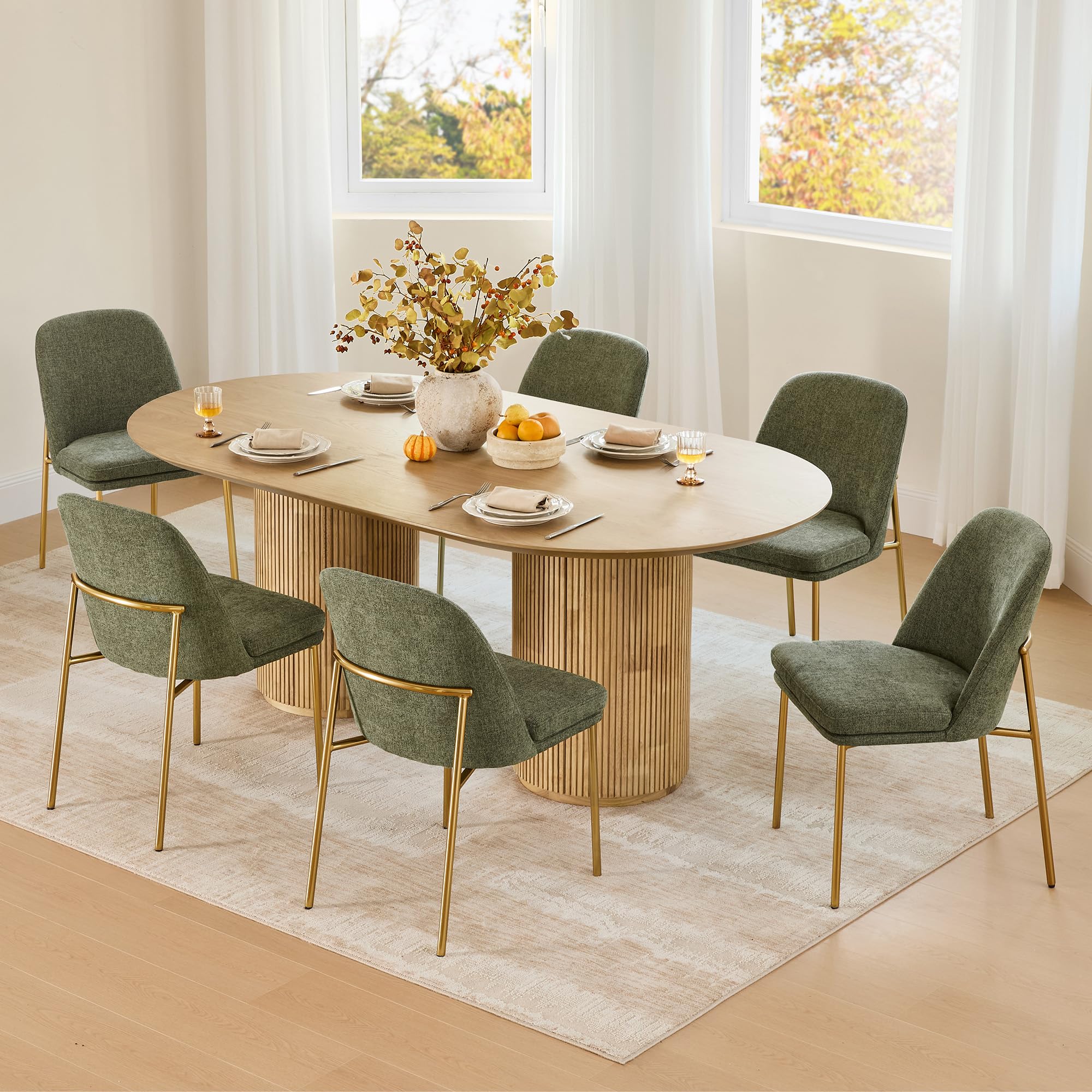 Modern Dining Chairs Set of 2