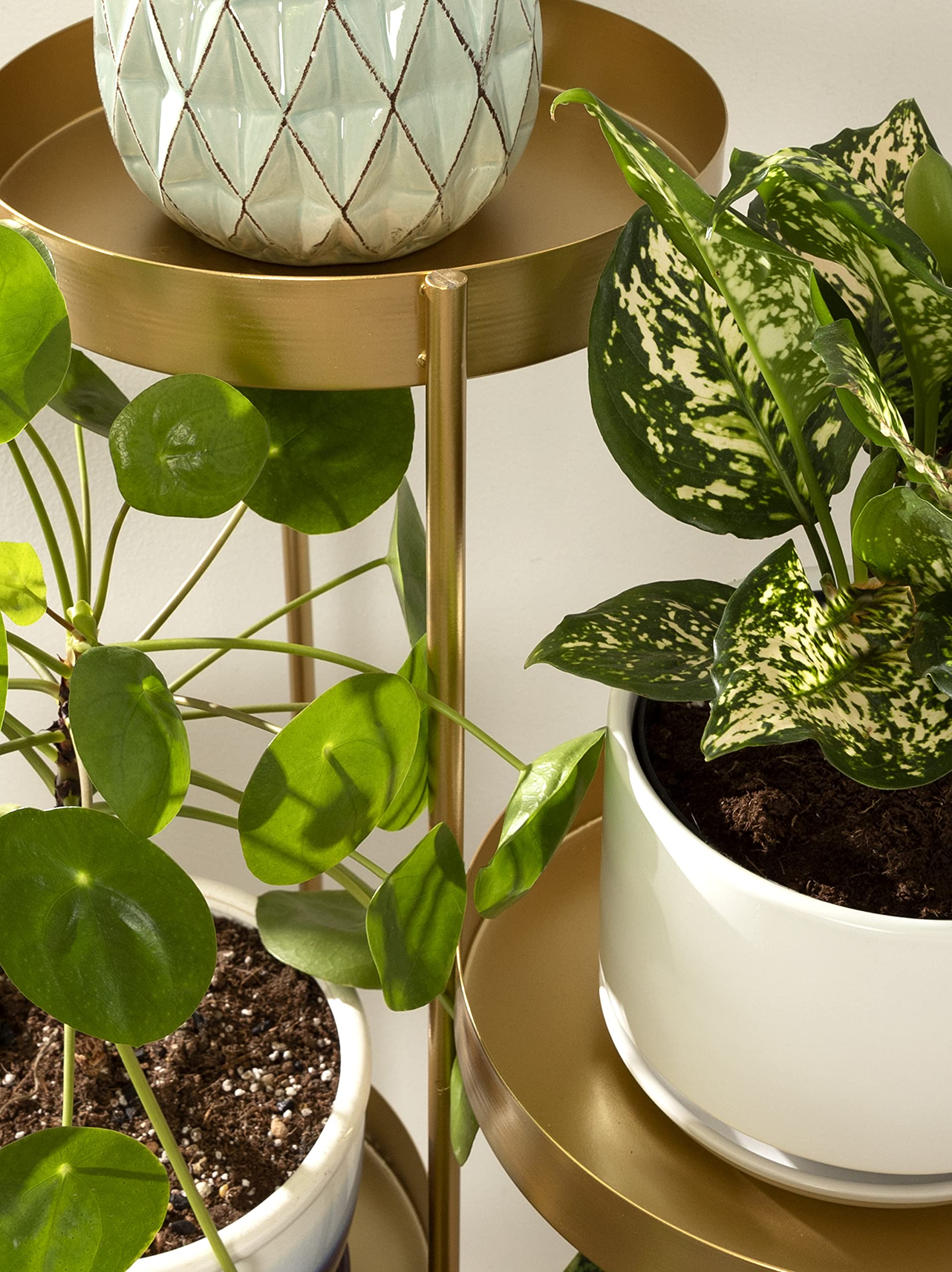 Modern 4-Tier Plant Stand - Gold Folding Display