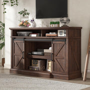 66" Farmhouse TV Stand with Sliding Barn Door