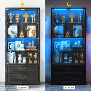 Display Cabinet with Glass Doors 67" Tall