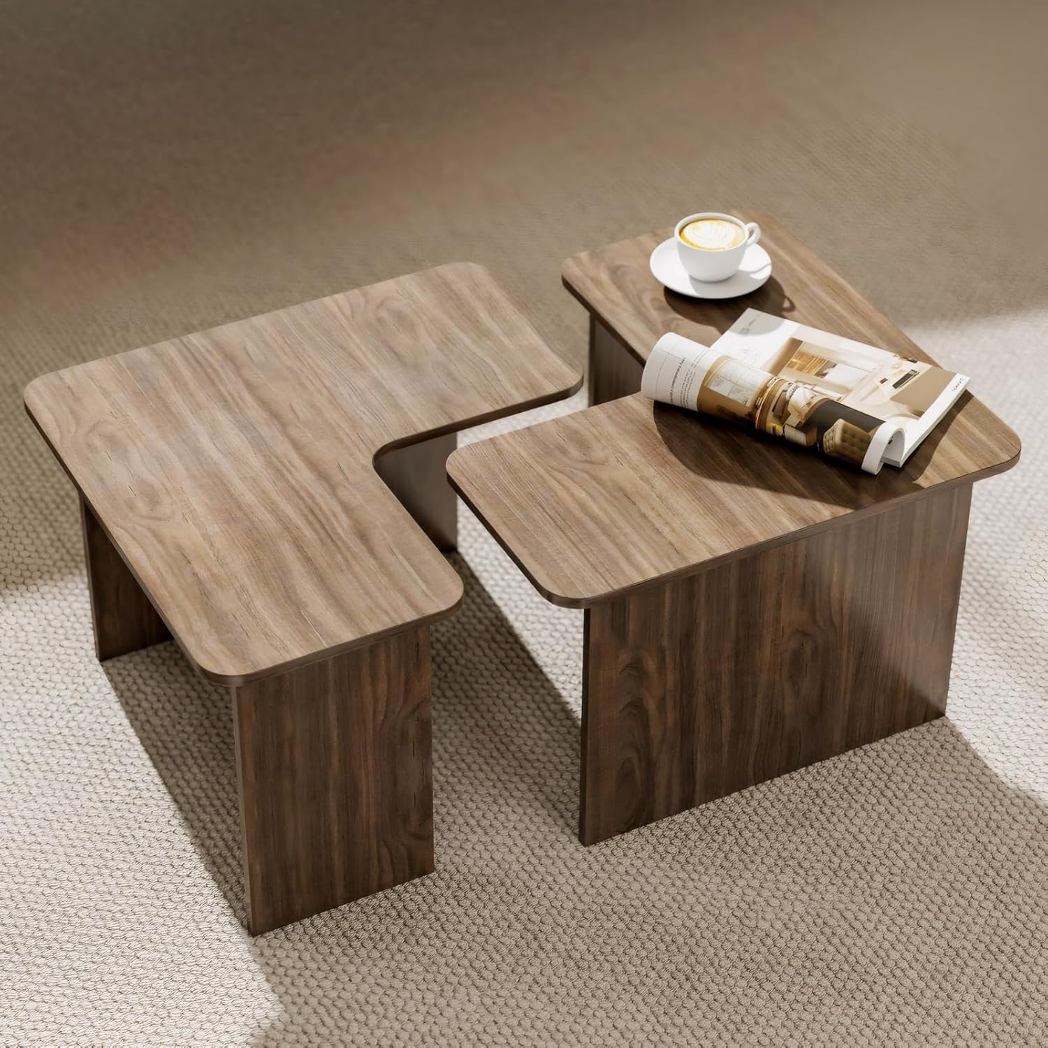 Modern Nesting Coffee Table Set of 2