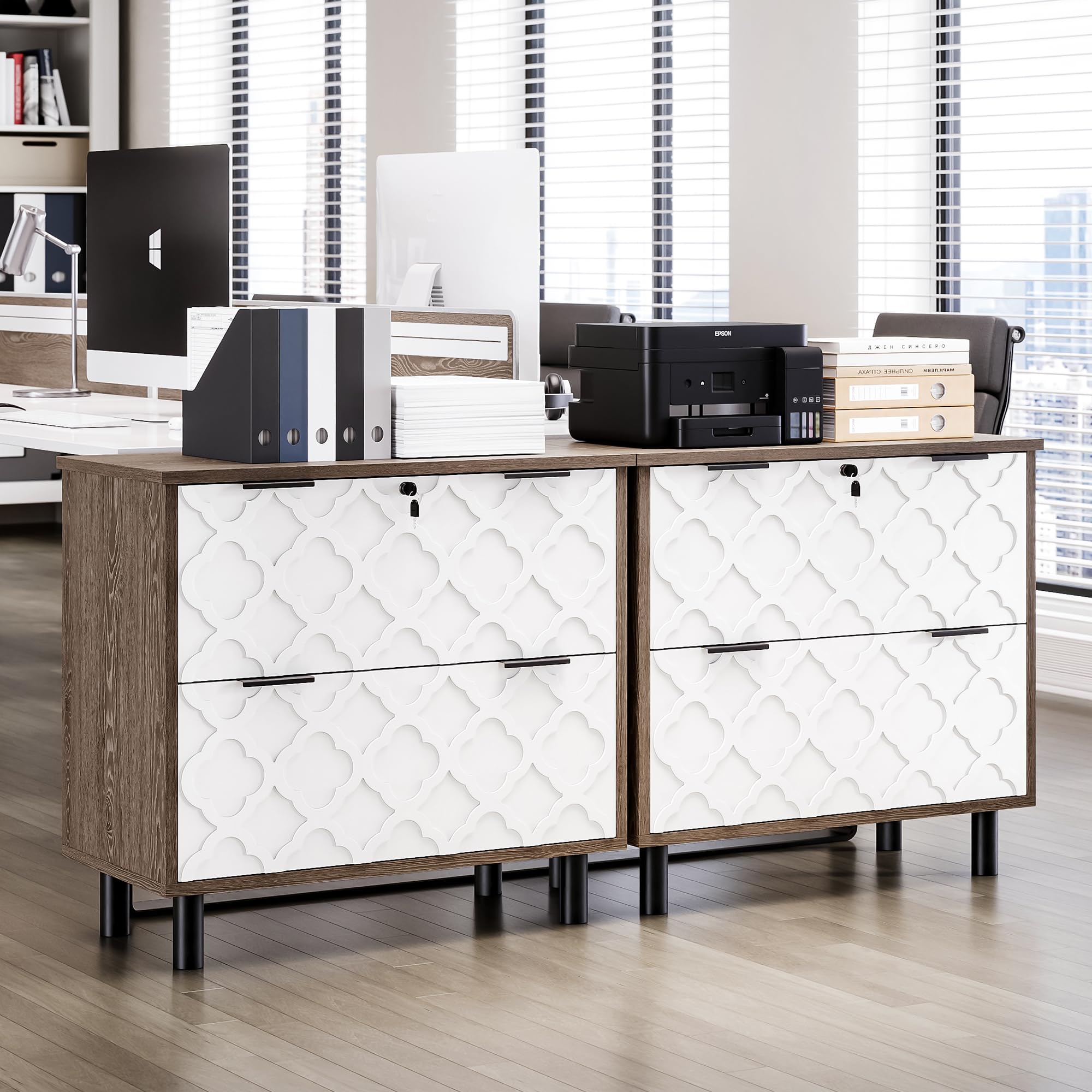 2 Drawer Lateral File Cabinet with Lock - Modern Metal Legs for Home Office