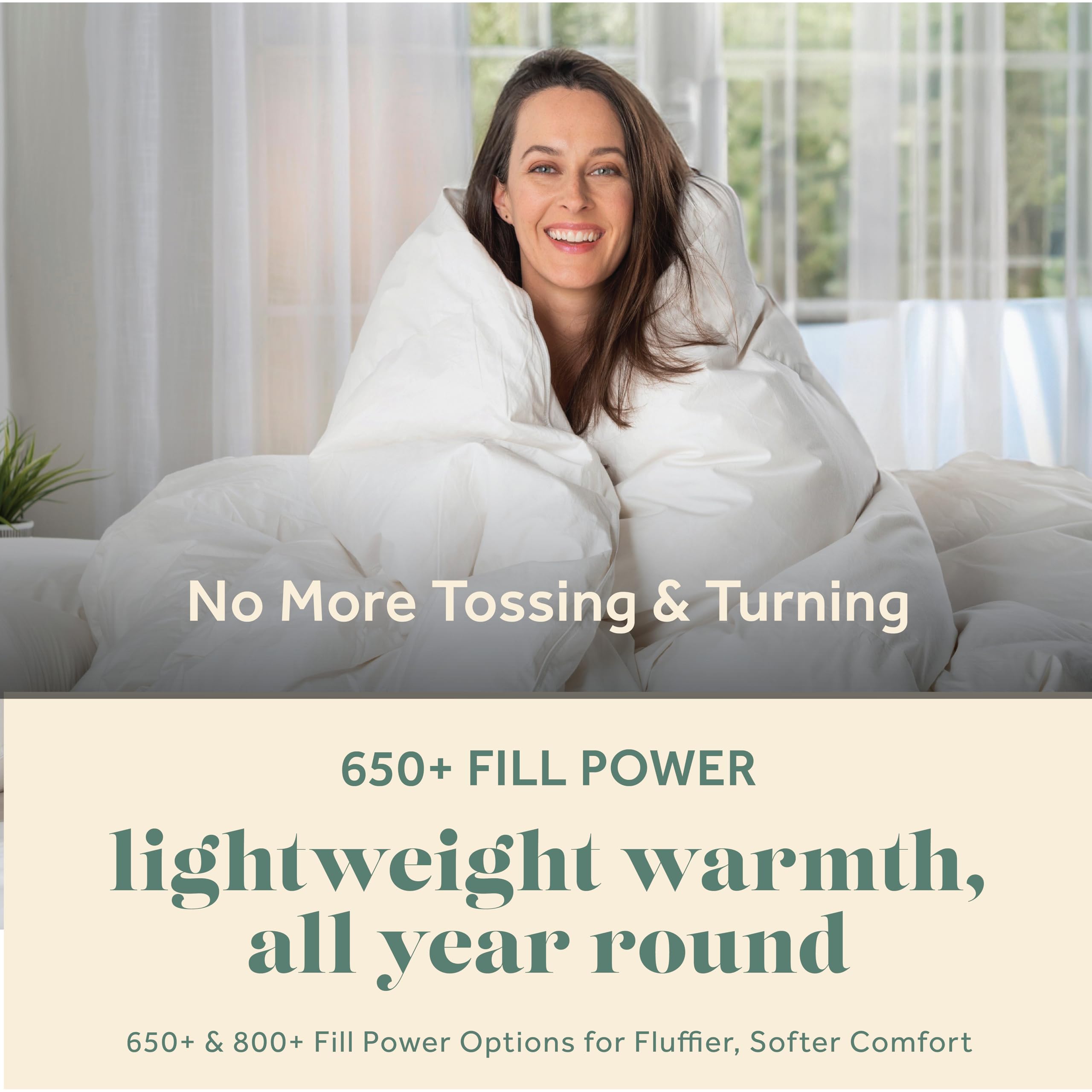 Goose Down Comforter Queen
