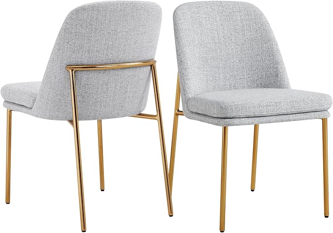 Modern Dining Chairs Set of 2