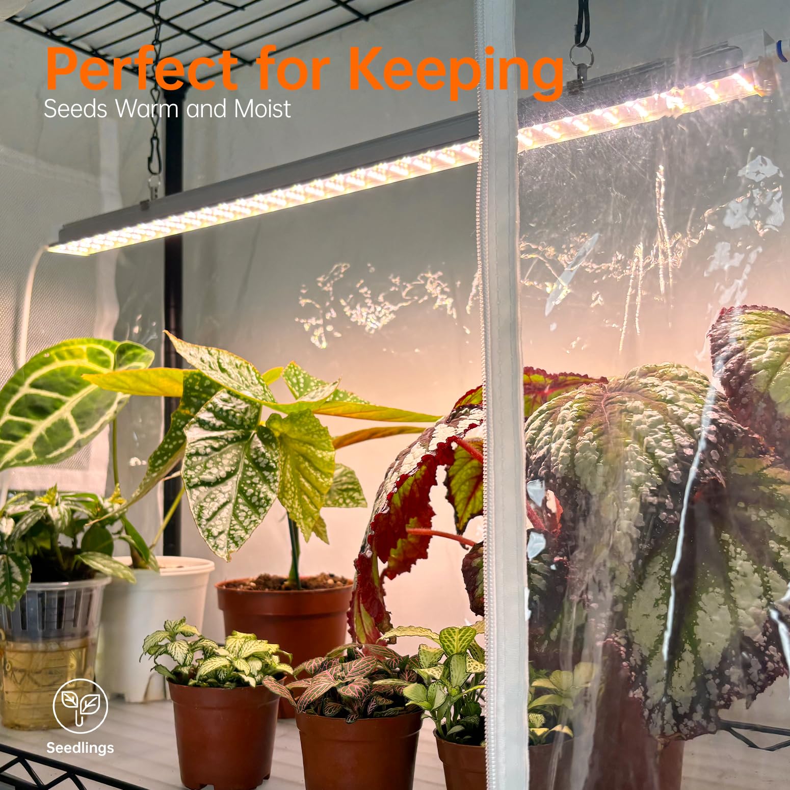 6-Tier Indoor Greenhouse with Grow Lights