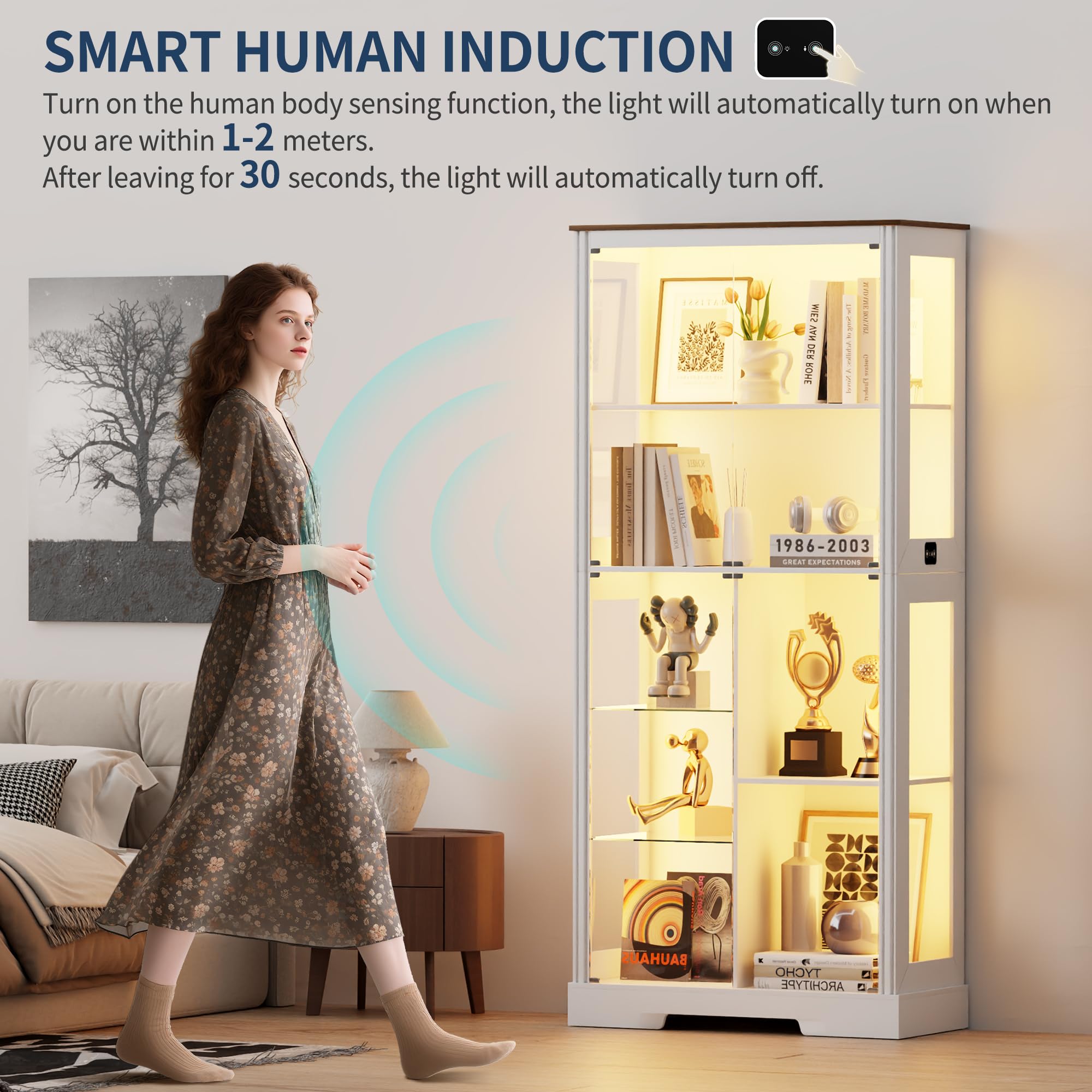 LED Display Cabinet with Glass Doors and Adjustable Shelves
