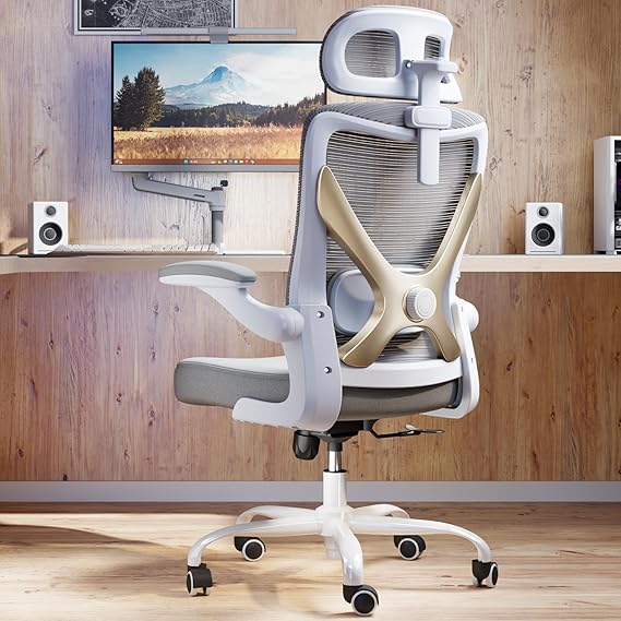 Ergonomic Mesh Office Chair with Adjustable Lumbar Support