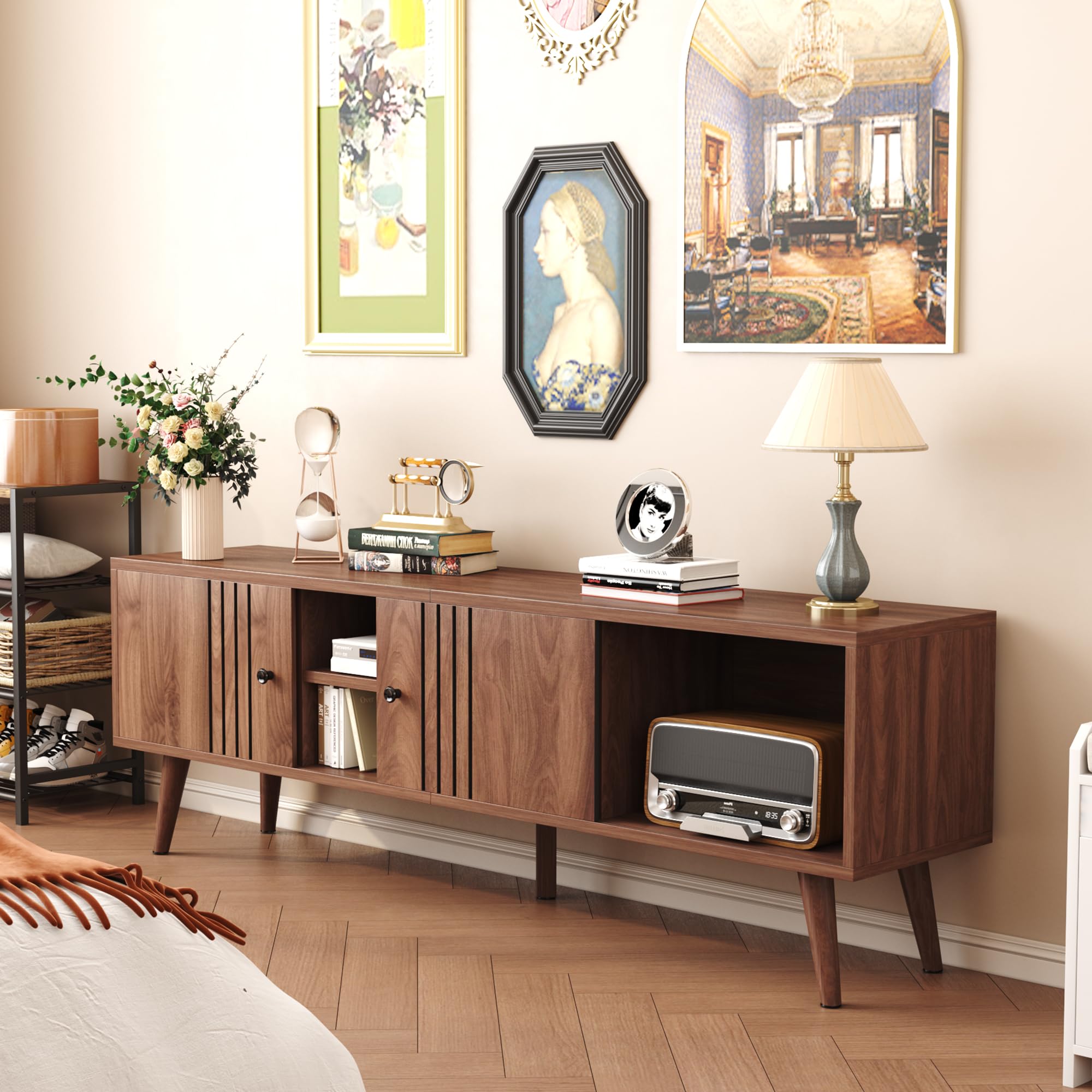 Mid-Century Modern TV Stand with Sliding Door