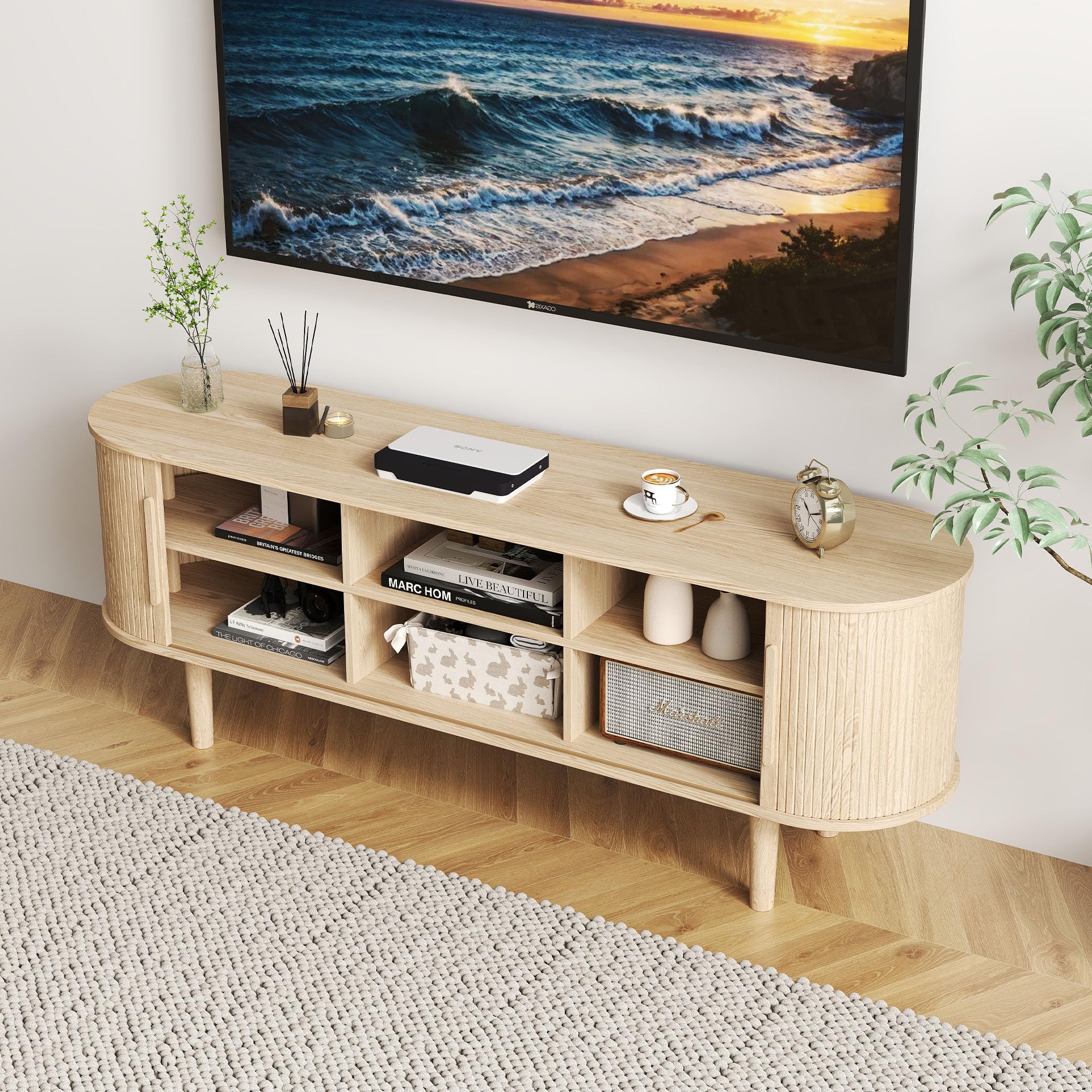 TV Stand with Sliding Doors and Storage Compartments