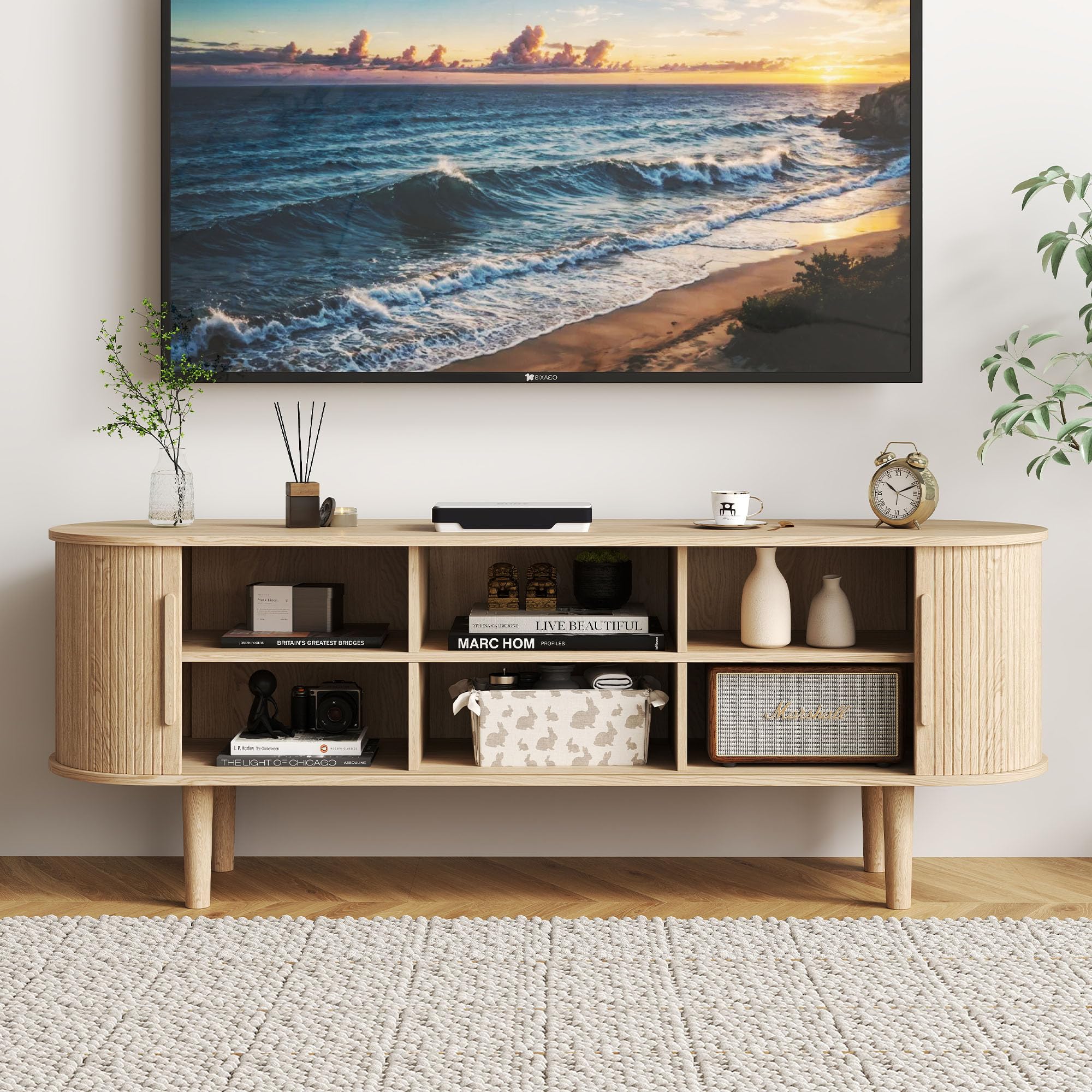 TV Stand with Sliding Doors and Storage Compartments