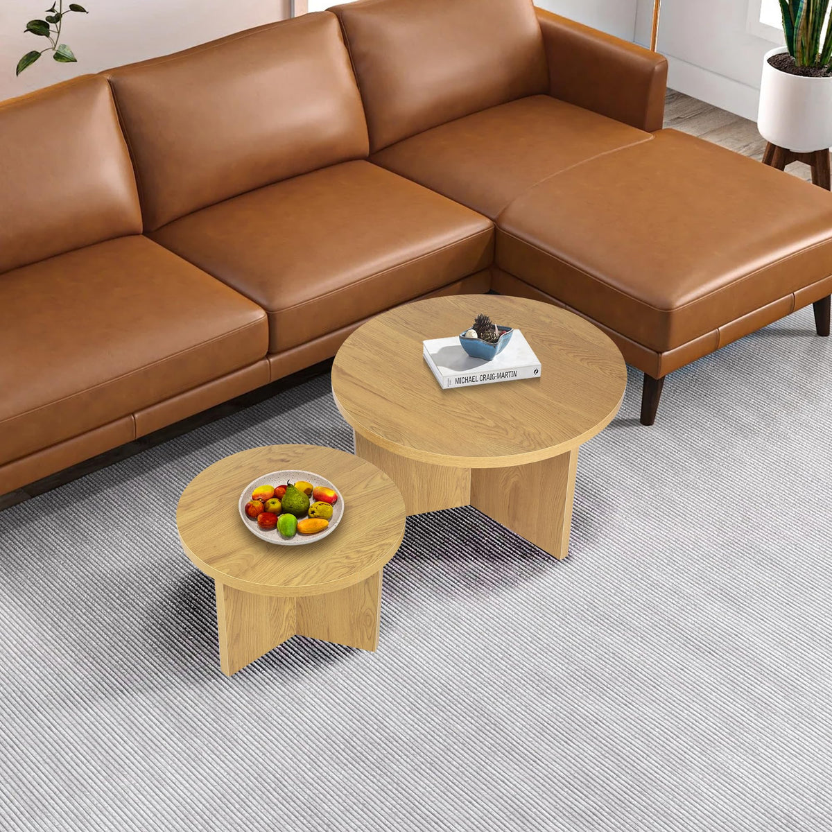 Round Nesting Coffee Tables Set of 2
