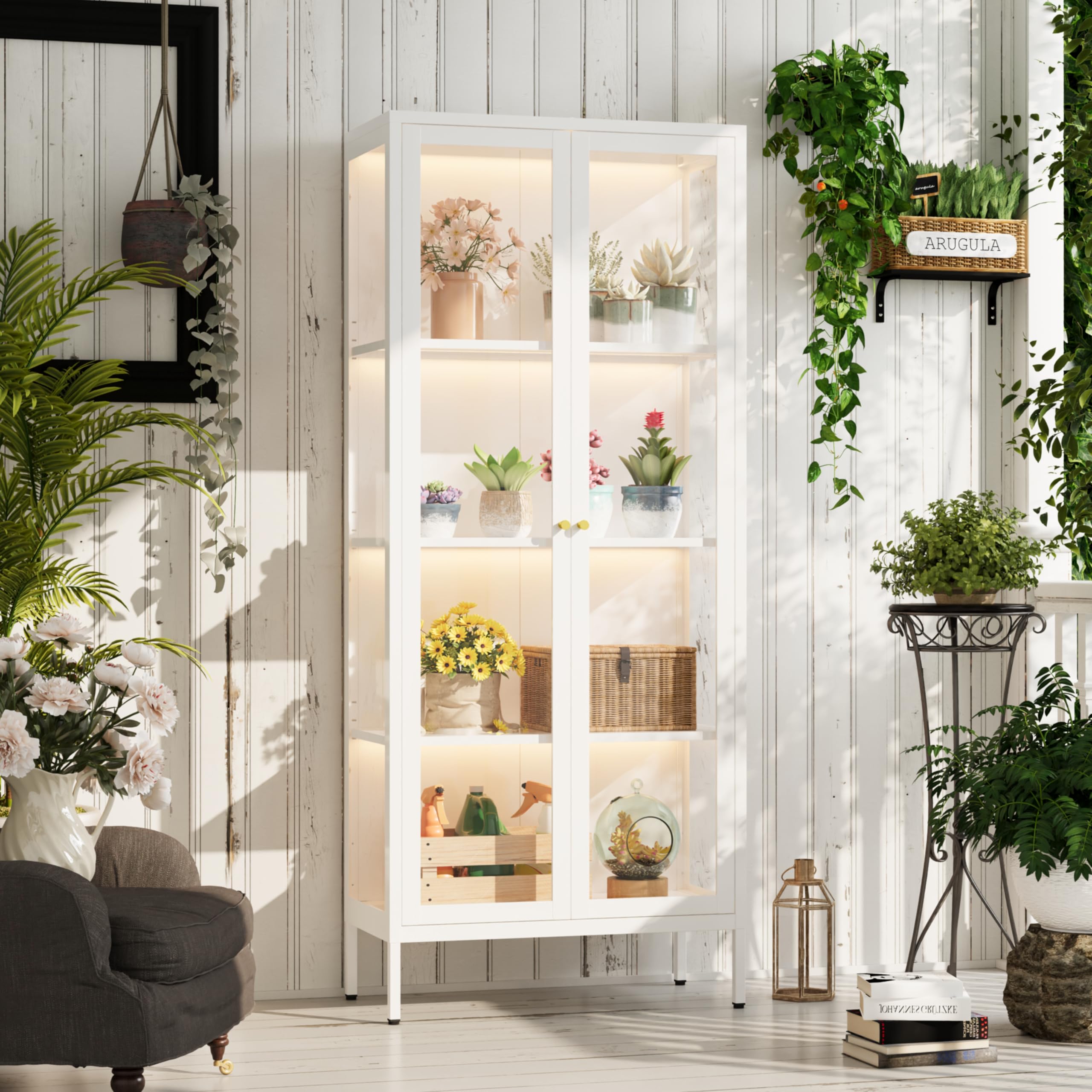 Display Cabinet with Glass Doors and LED Lights