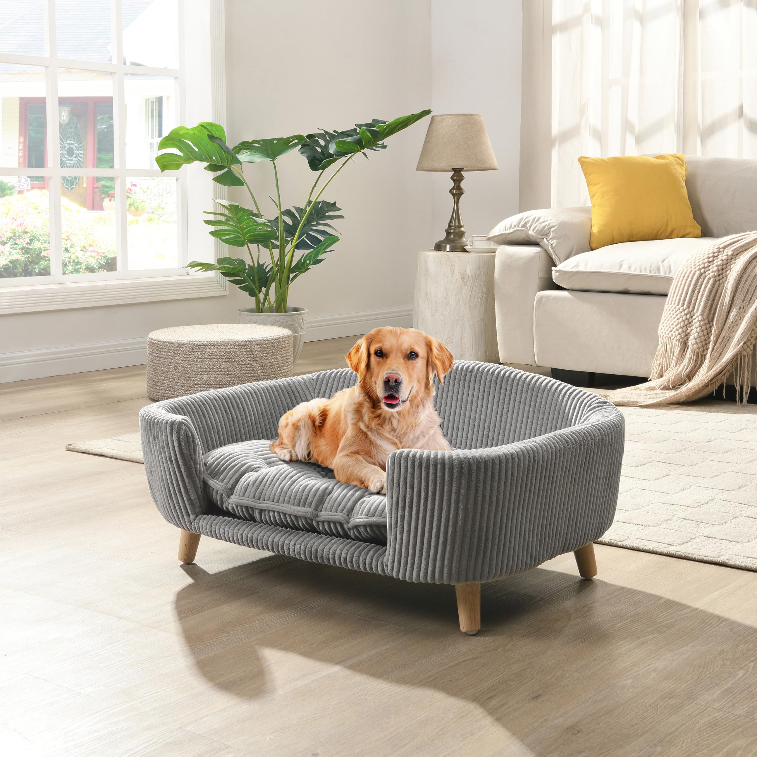 Elevated Orthopedic Dog Bed with Memory Foam