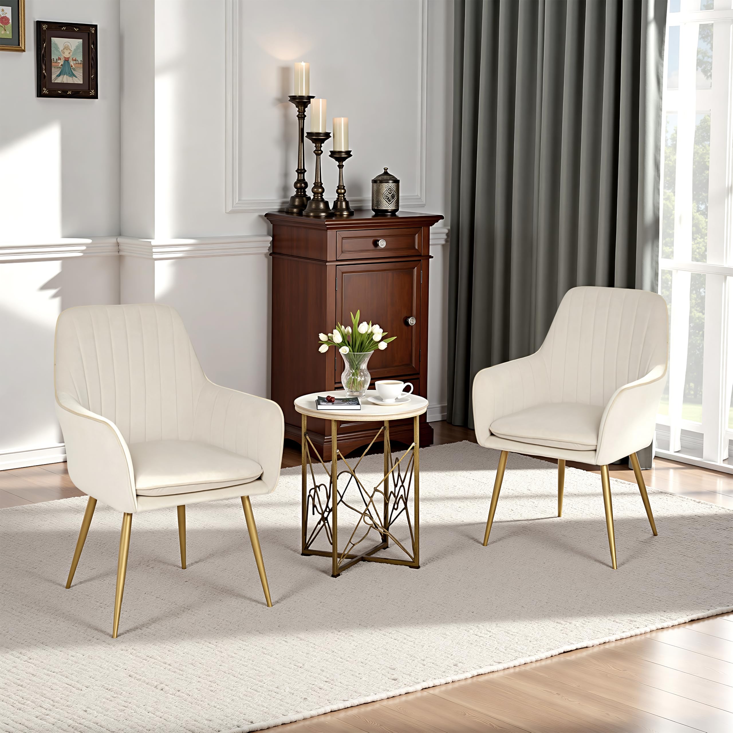 Mid Century Velvet Dining Chairs Set of 2