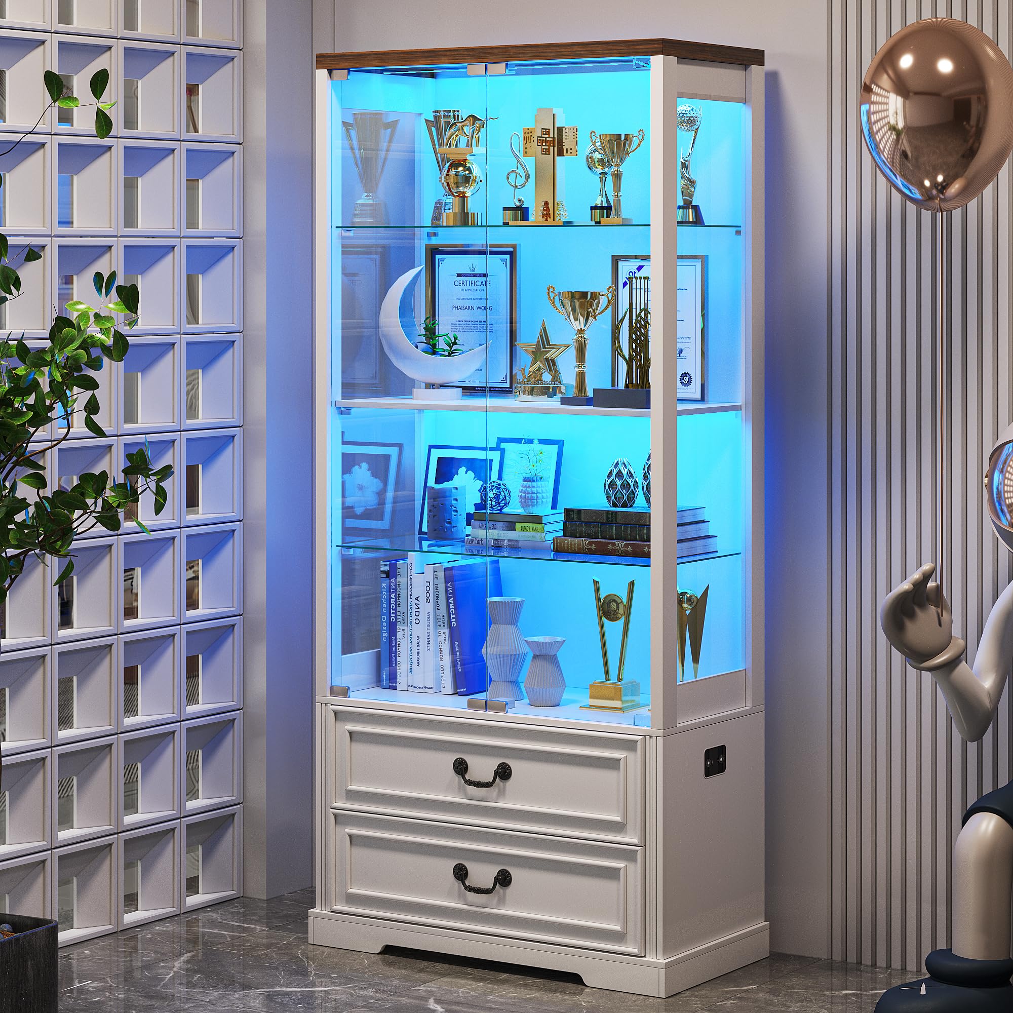Display Cabinet with Glass Doors 67" Tall