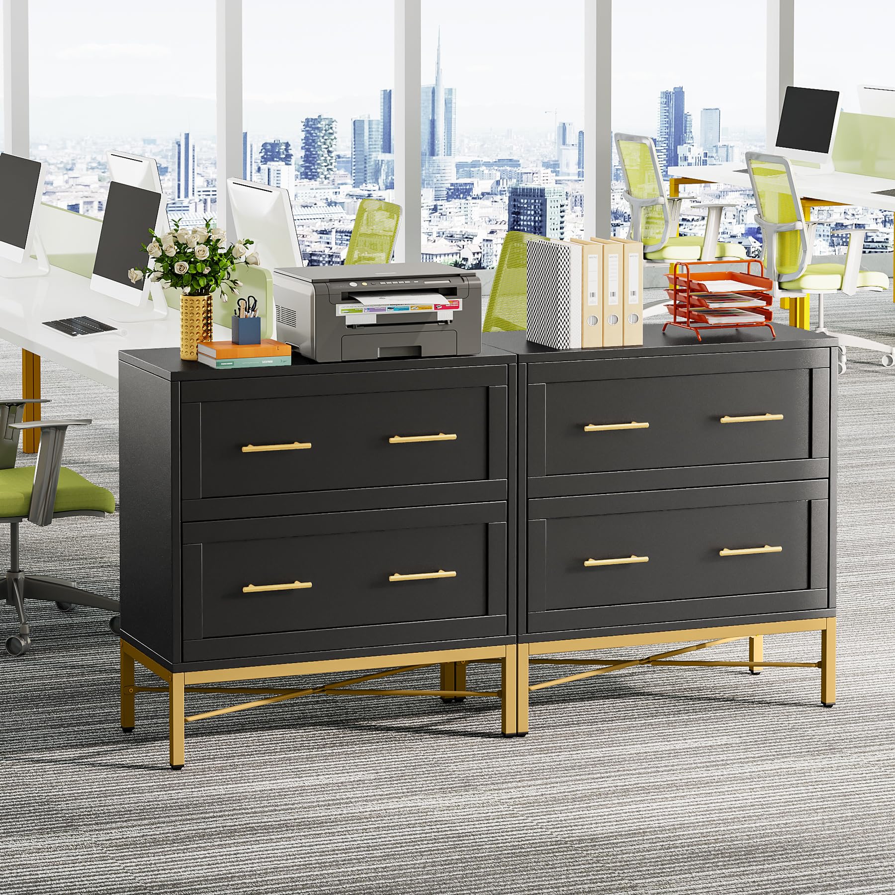 2 Drawer Lateral Filing Cabinet with Printer Stand