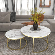 Round Nesting Coffee Table Set of 2