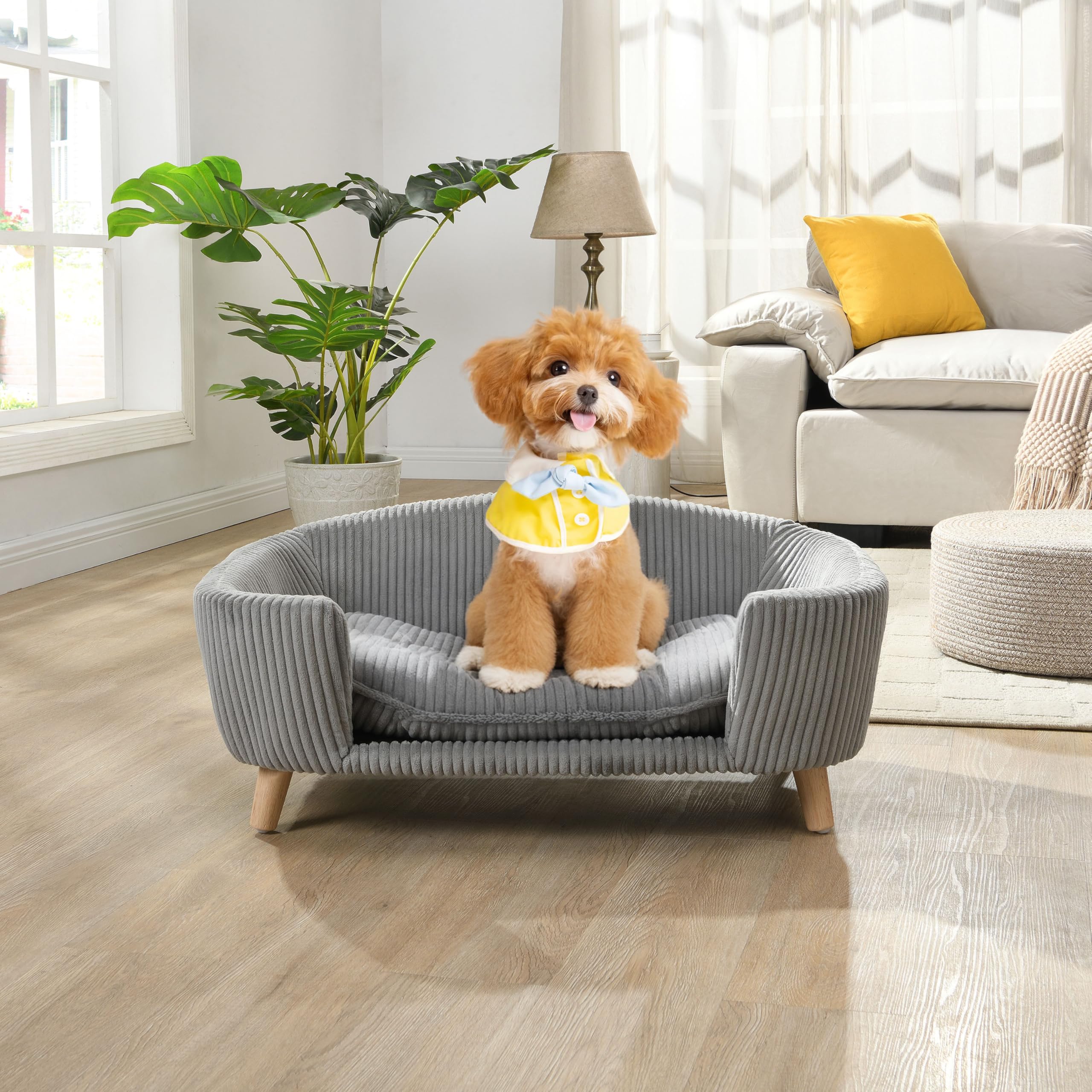 Elevated Orthopedic Dog Bed with Memory Foam