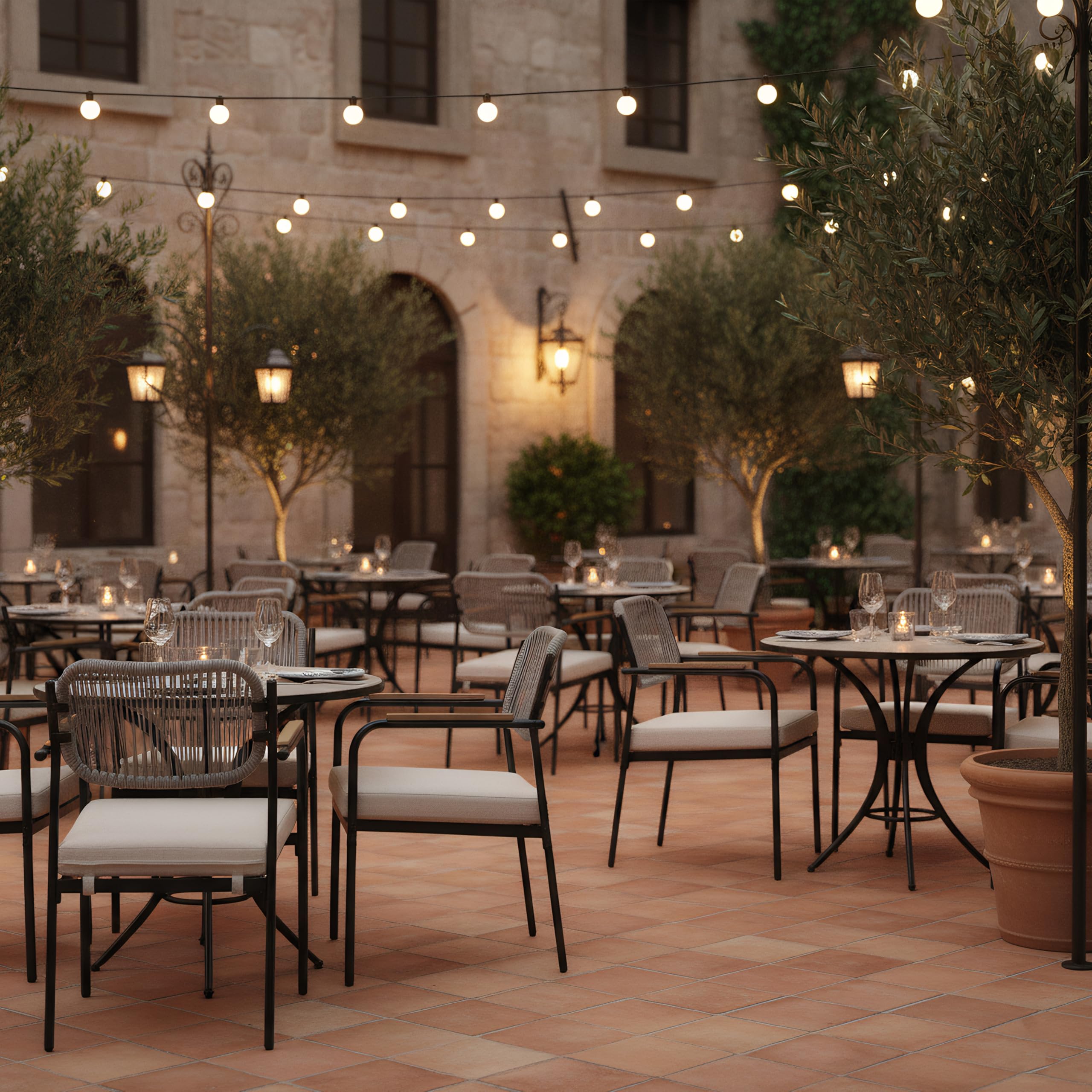 Rope Patio Dining Chairs Set of 2 with Armrests