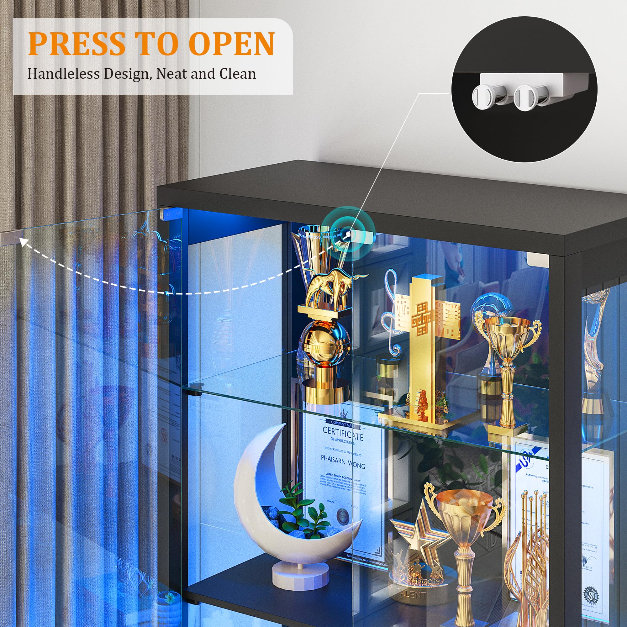 Display Cabinet with Glass Doors 67" Tall