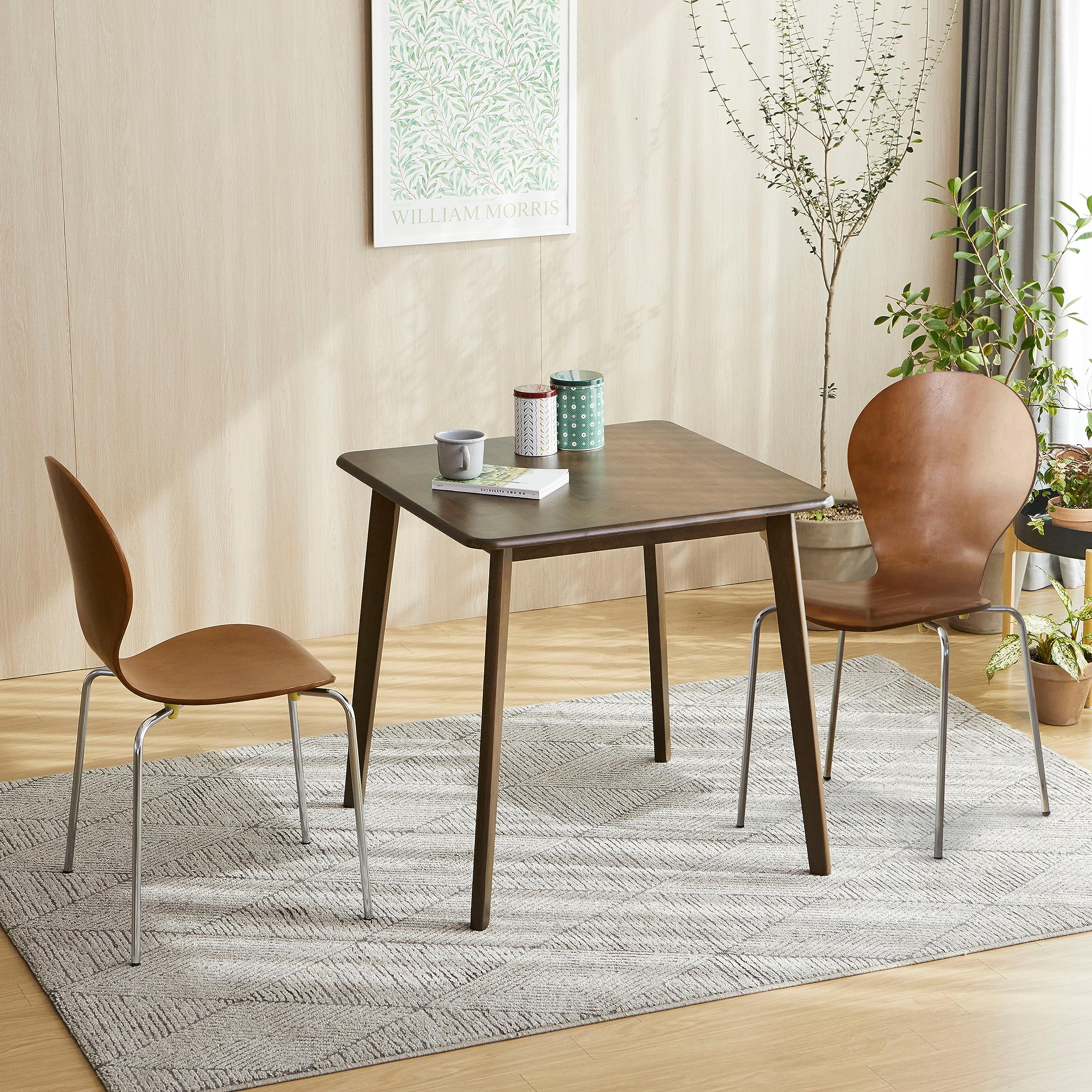 Mid-Century Modern Wooden Dining Chairs Set of 2