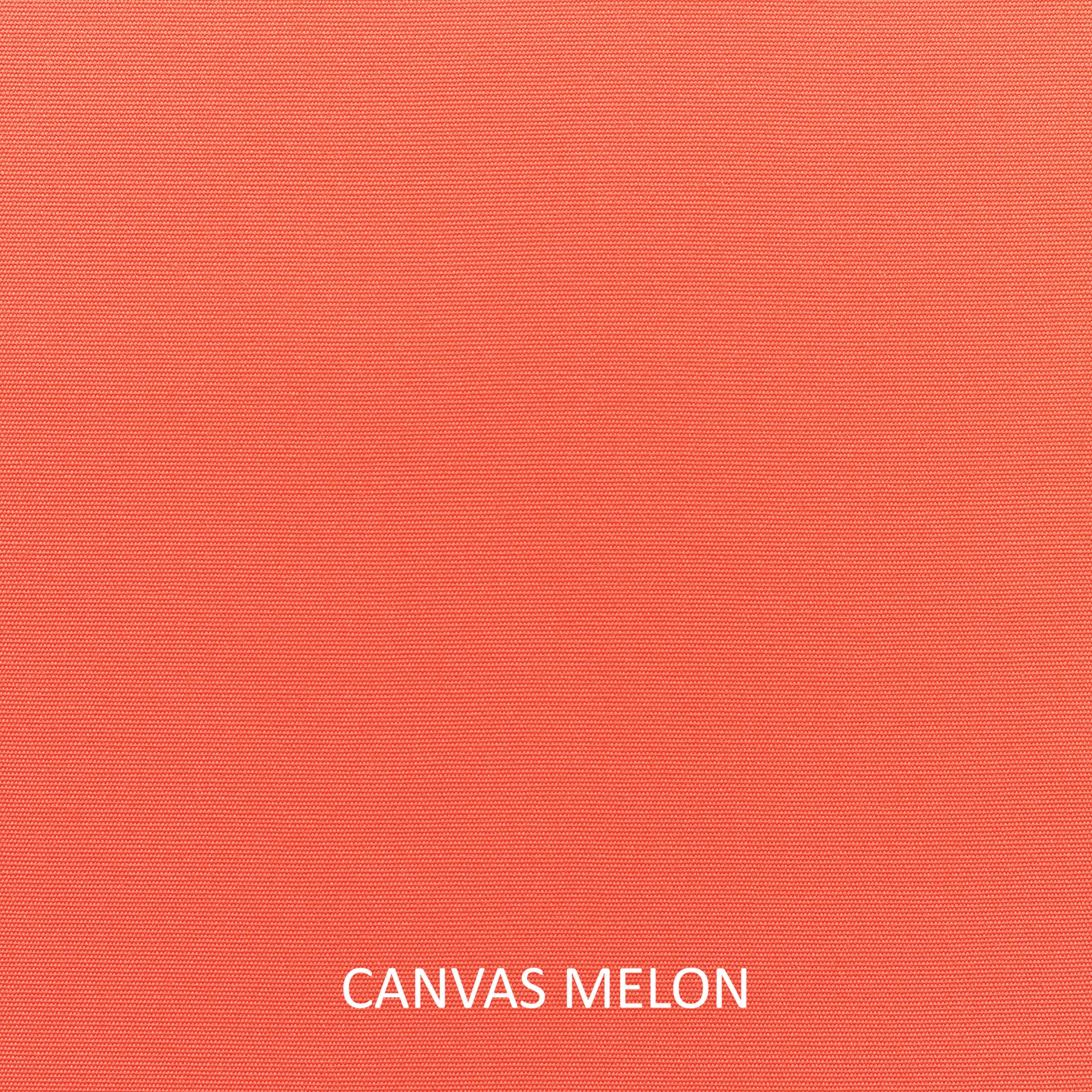 Square Outdoor Pillows Set of 2 - Canvas Melon Coral & Ivory